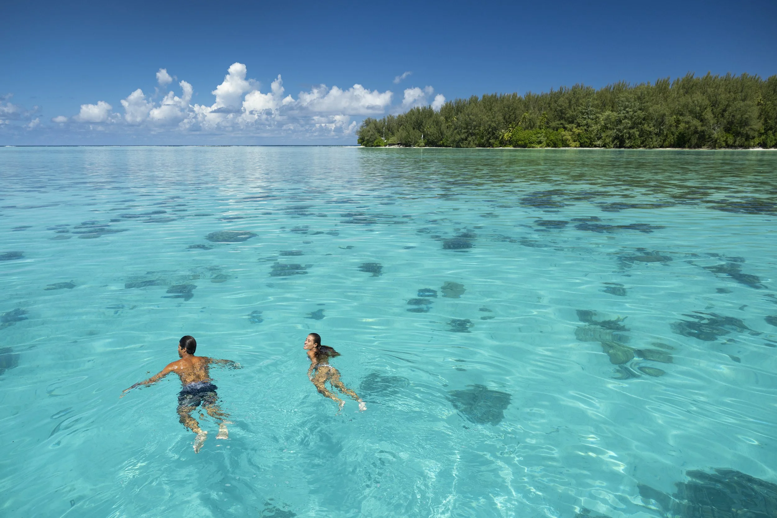 Deux personnes nagent dans une mer turquoise, avec une forêt dense en arrière-plan et un ciel bleu avec quelques nuages.