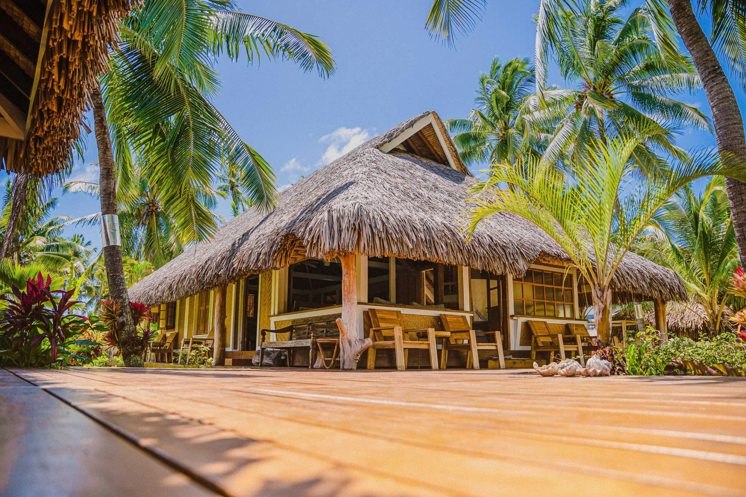 Une maison en grillage de paille avec un toit en chaume, entourée de palmiers, dans un environnement tropical ensoleillé.