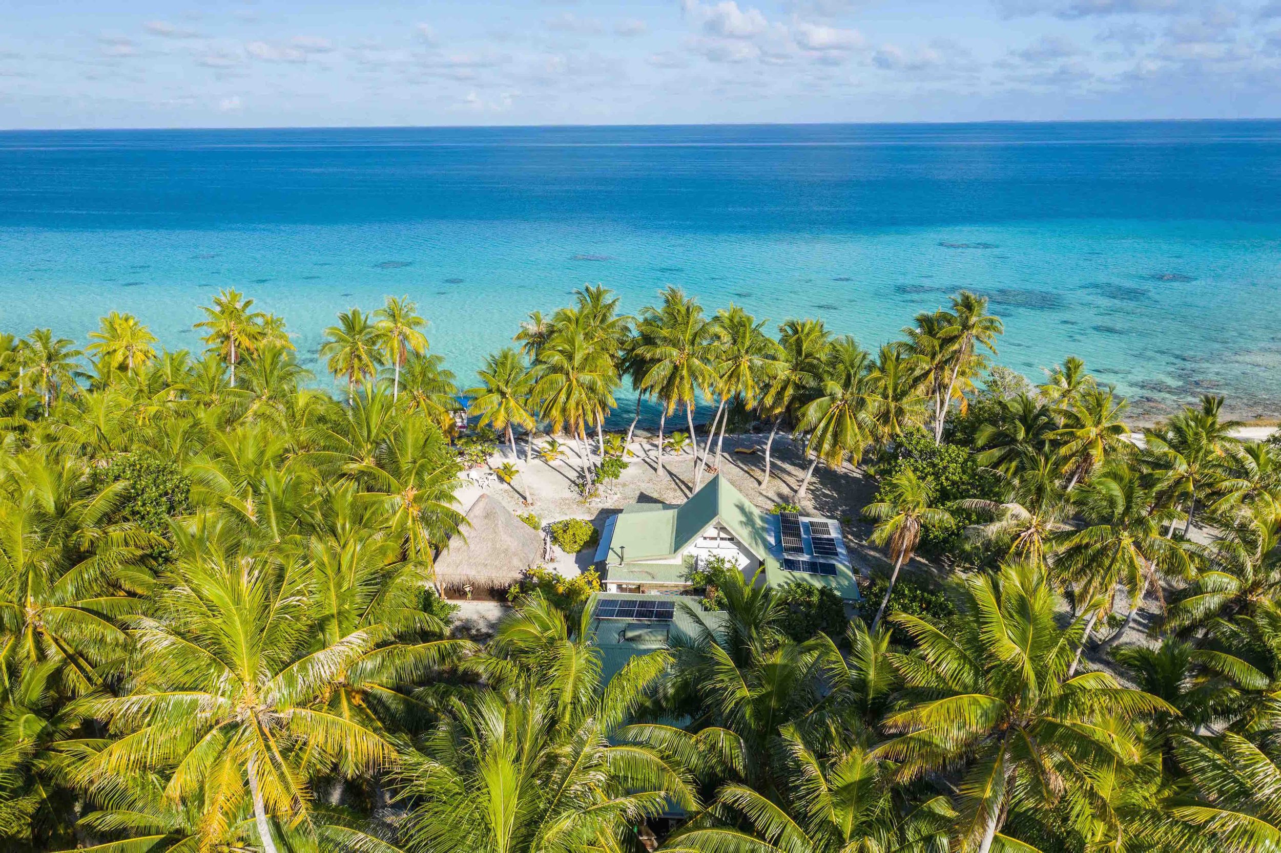 Vue aérienne d'une plage tropicale avec de nombreux palmiers verts, le sable clair et l'océan bleu lumineux.