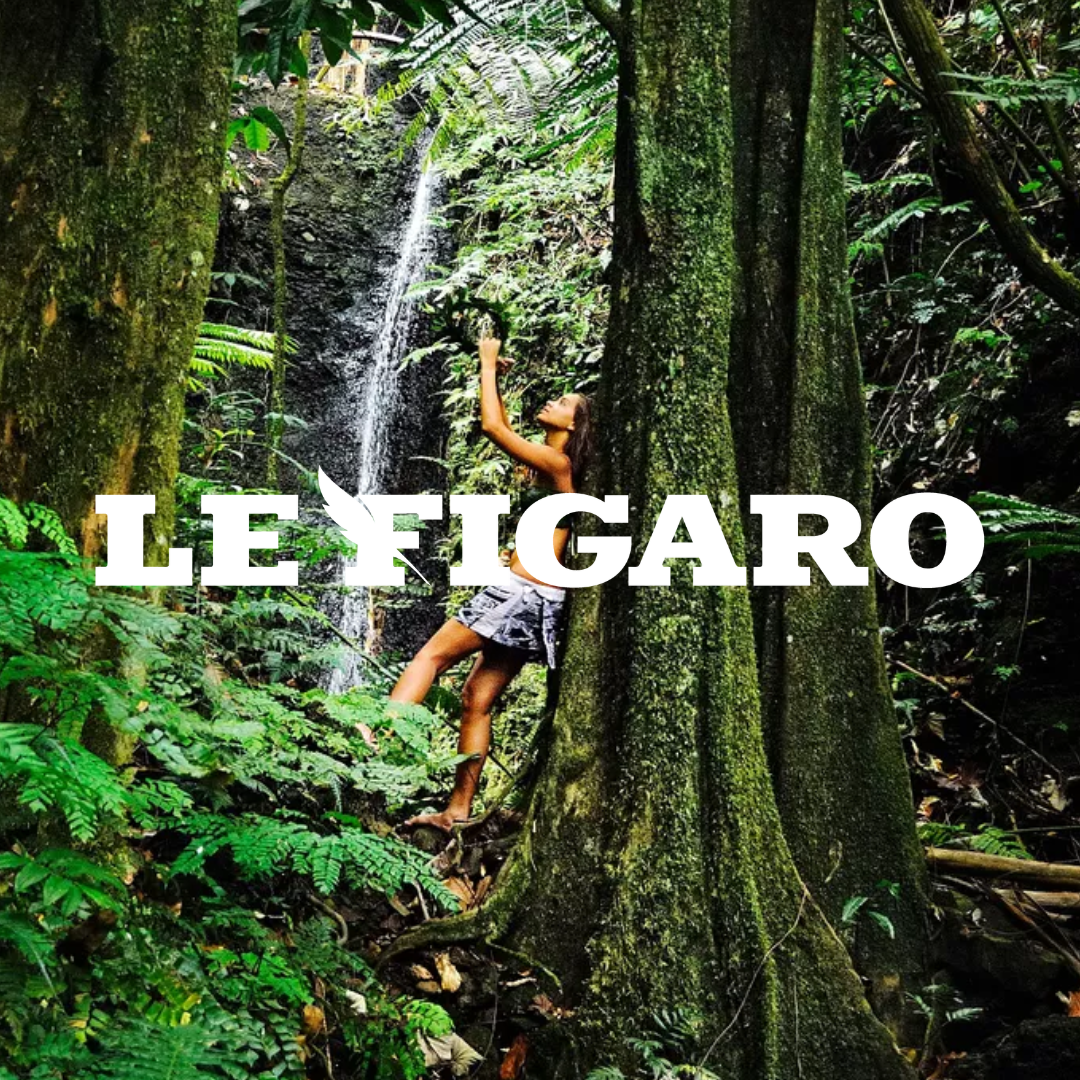 Jeune garçon dans une forêt tropicale, près d'une cascade, tenant une branche, avec le texte "Le Figaro" en surimpression.