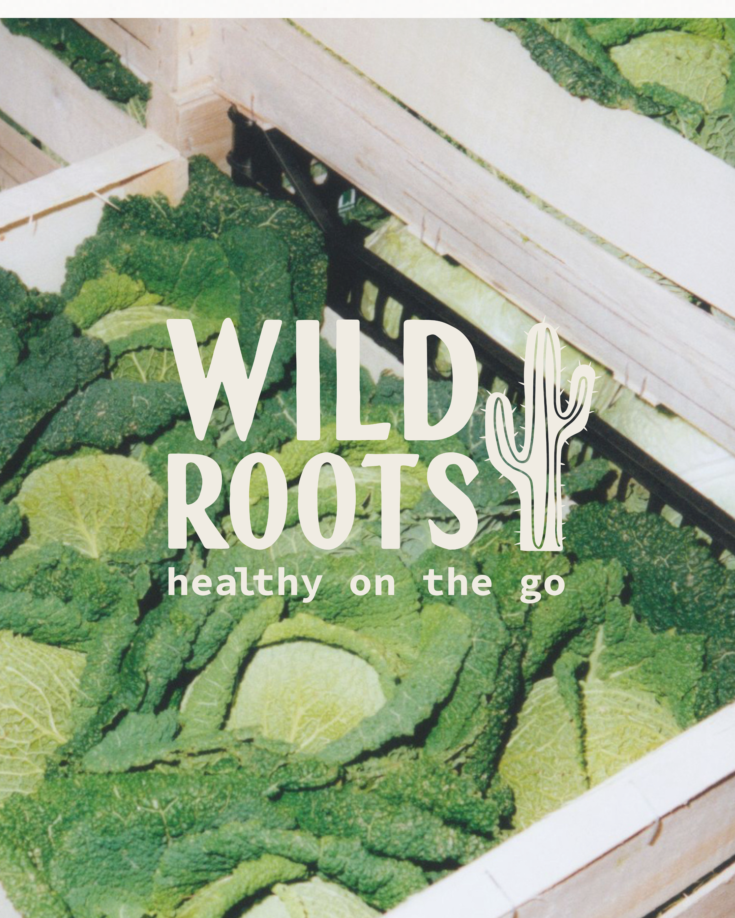  Wild Roots Branding  1.2.26 (Instagram Post (45)) - 4.PNG