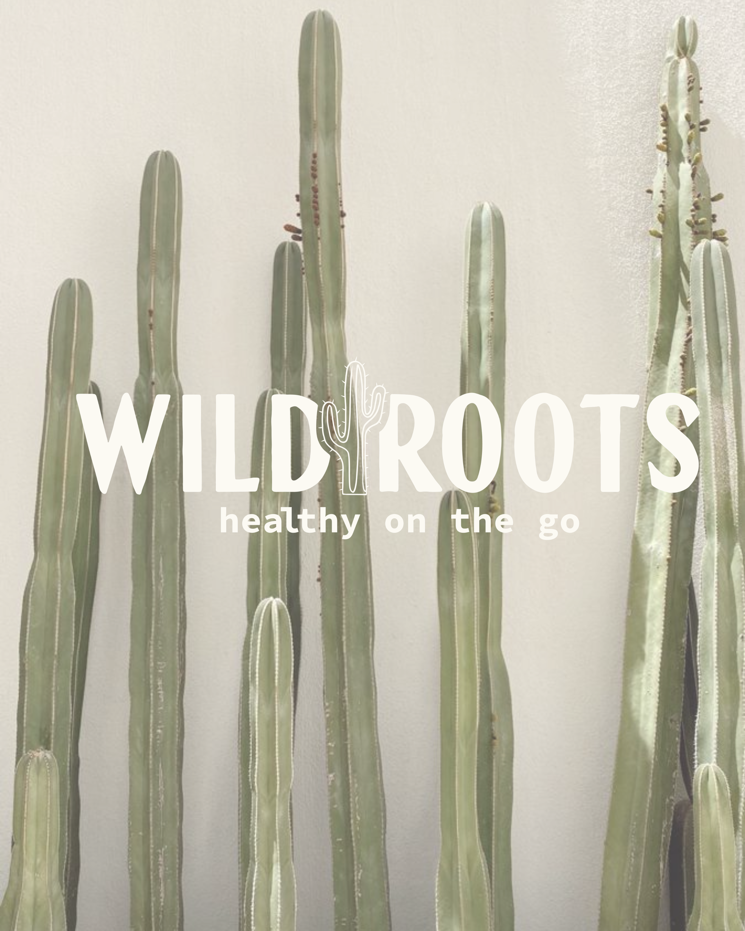  Wild Roots Branding  1.2.26 (Instagram Post (45)) - Meeting 01.PNG