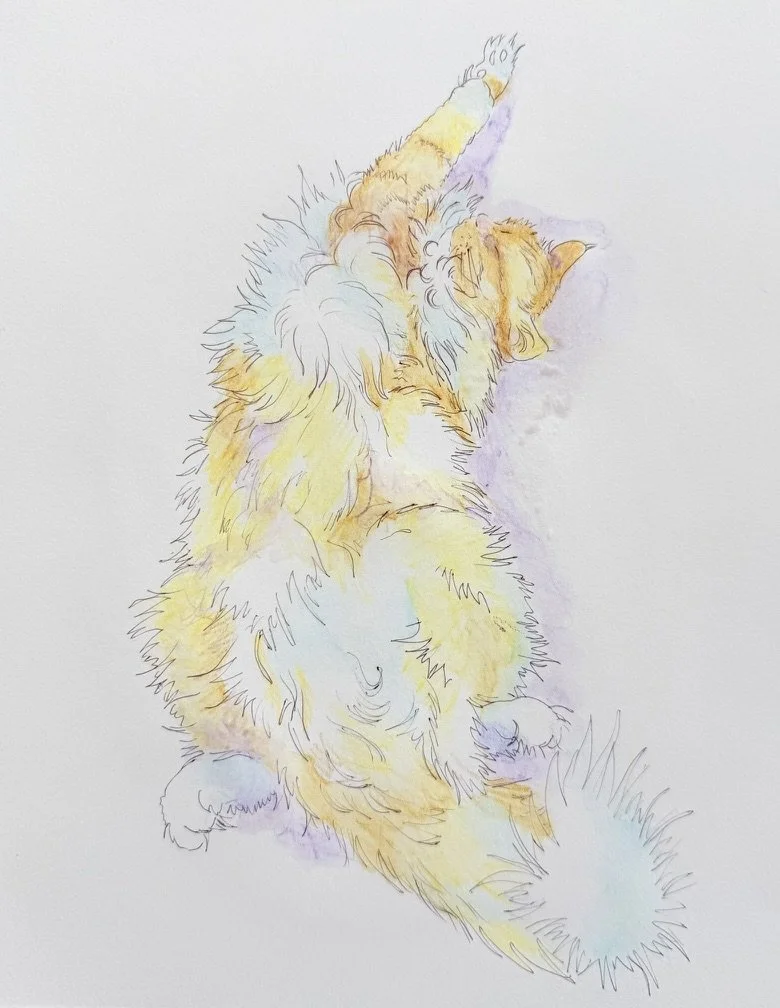 Mr. Lucky – Morning Light Nap

Mr. Lucky is stretched out on a bed, belly up, peacefully asleep in a relaxed morning moment.
Soft sunlight fills the room, blending with delicate pastel tones to create a quiet sense of warmth and calm.
An intimate eve