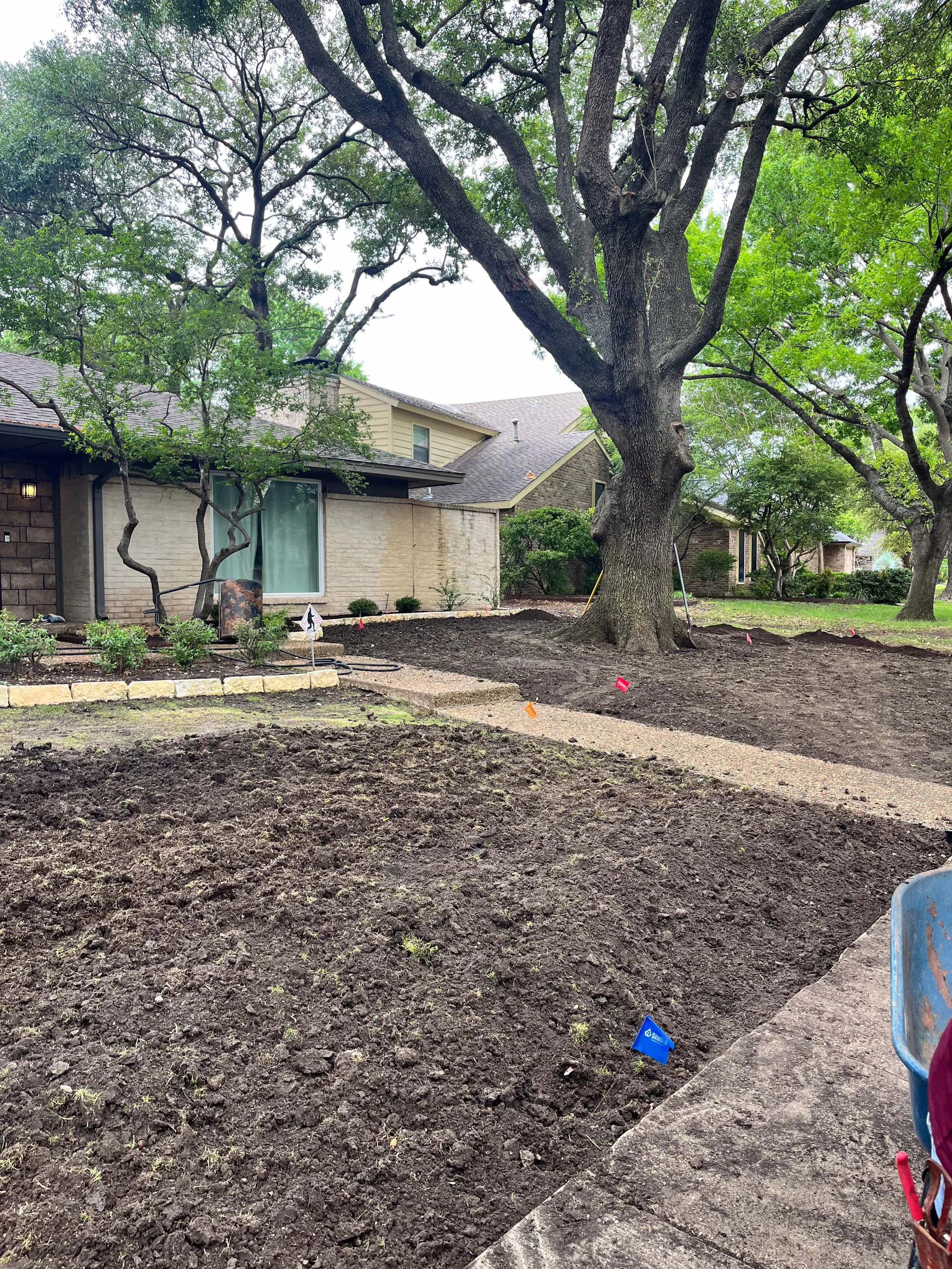 Romero Tree Service - Landscaping-7834.jpg