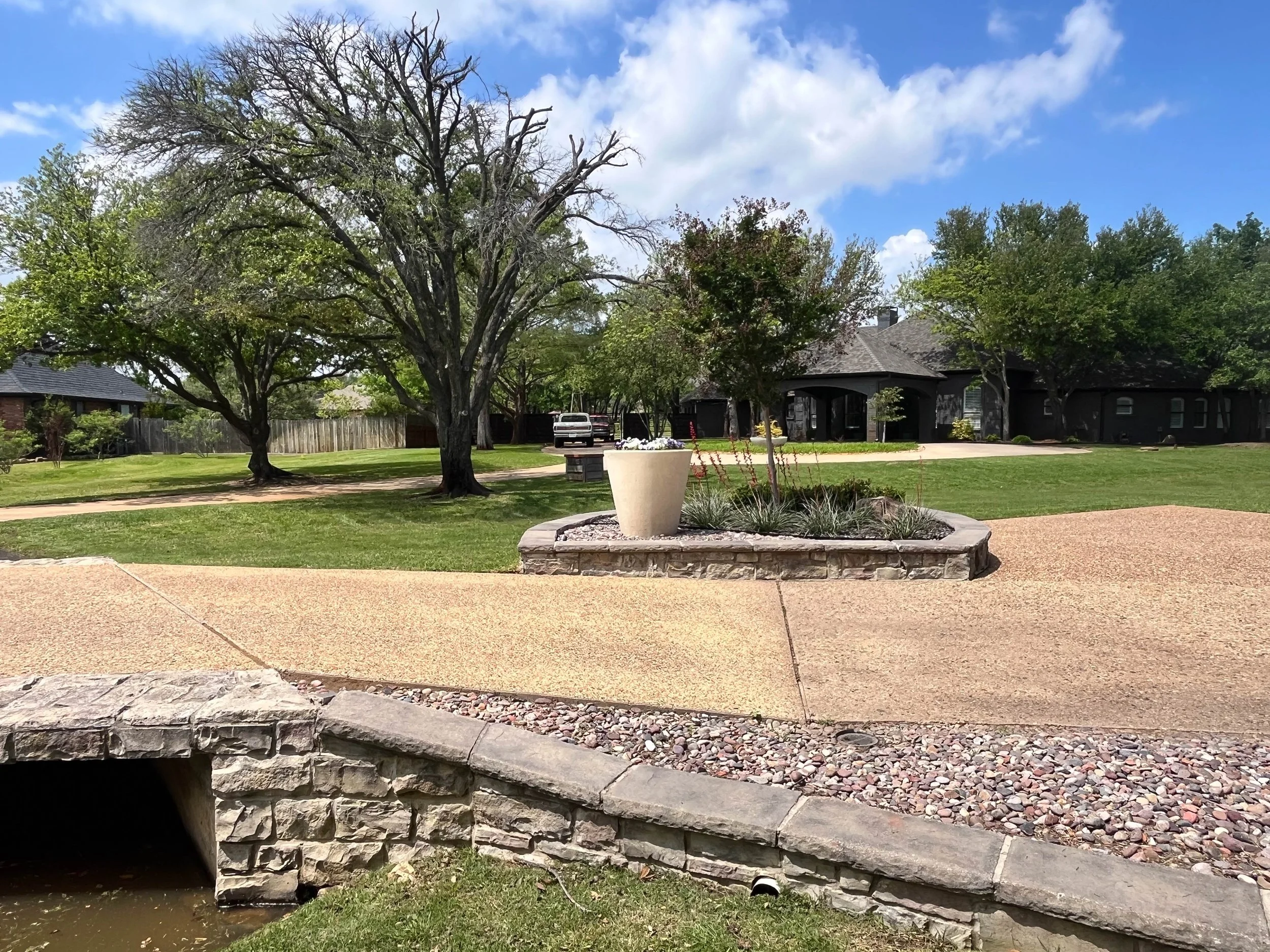 Romero Tree Service project - A residential backyard with a large tree, a house, a driveway with parked cars, and a landscaped garden with a stone border and a white planter.