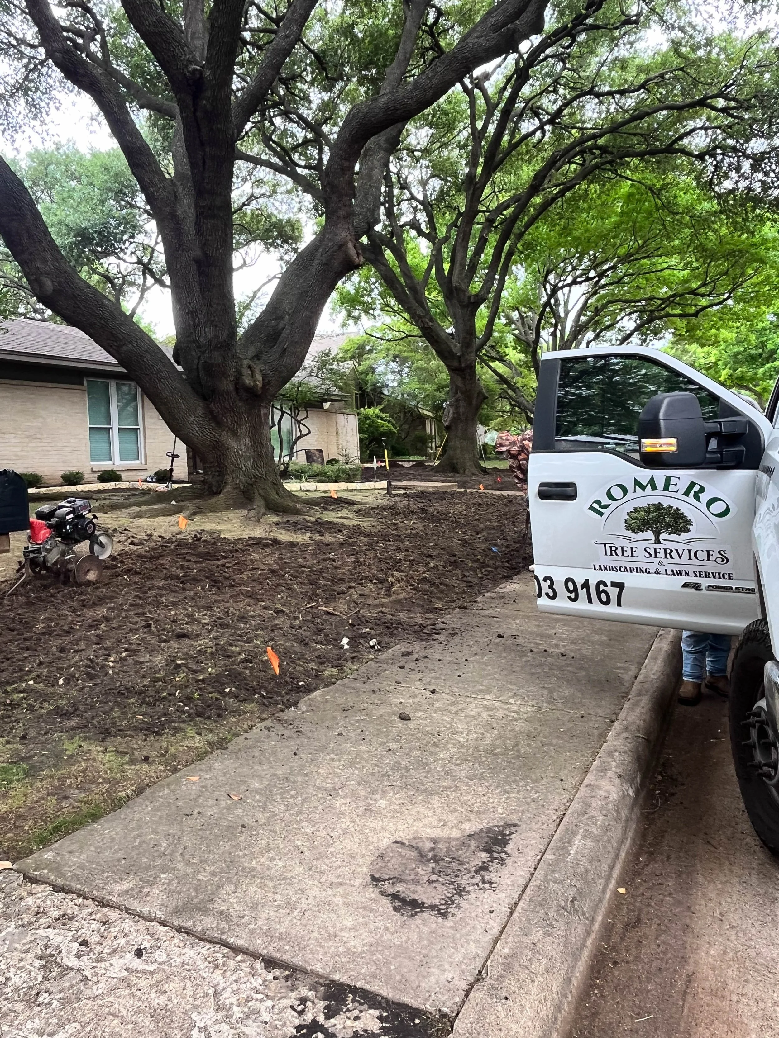 Romero Tree Service - Landscaping-7836.jpg