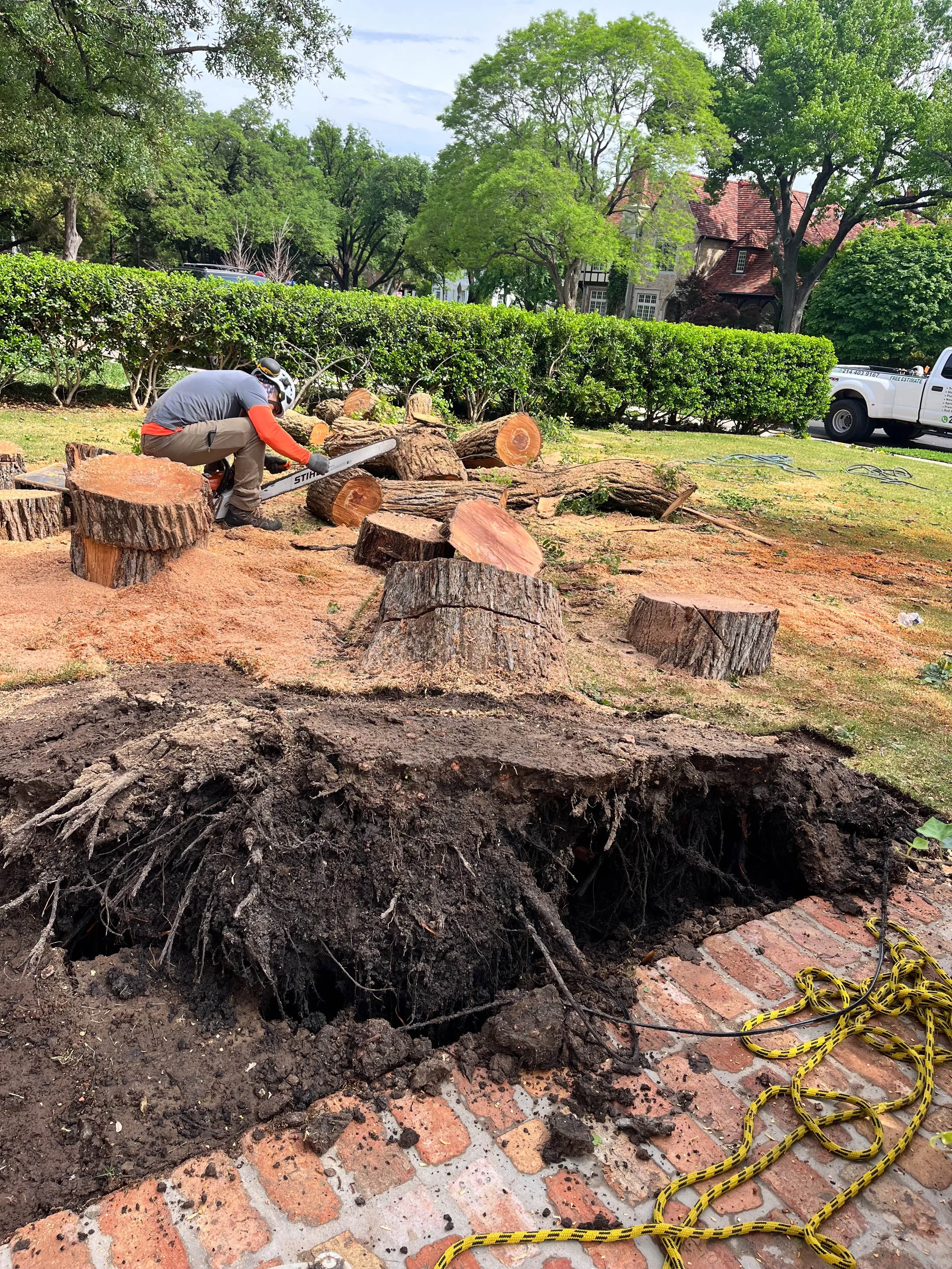 Stump Grinding
