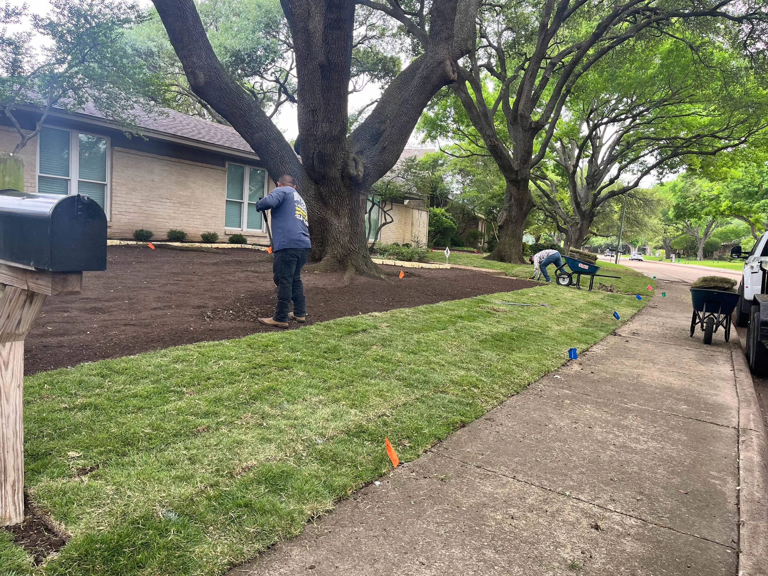 Landscaping