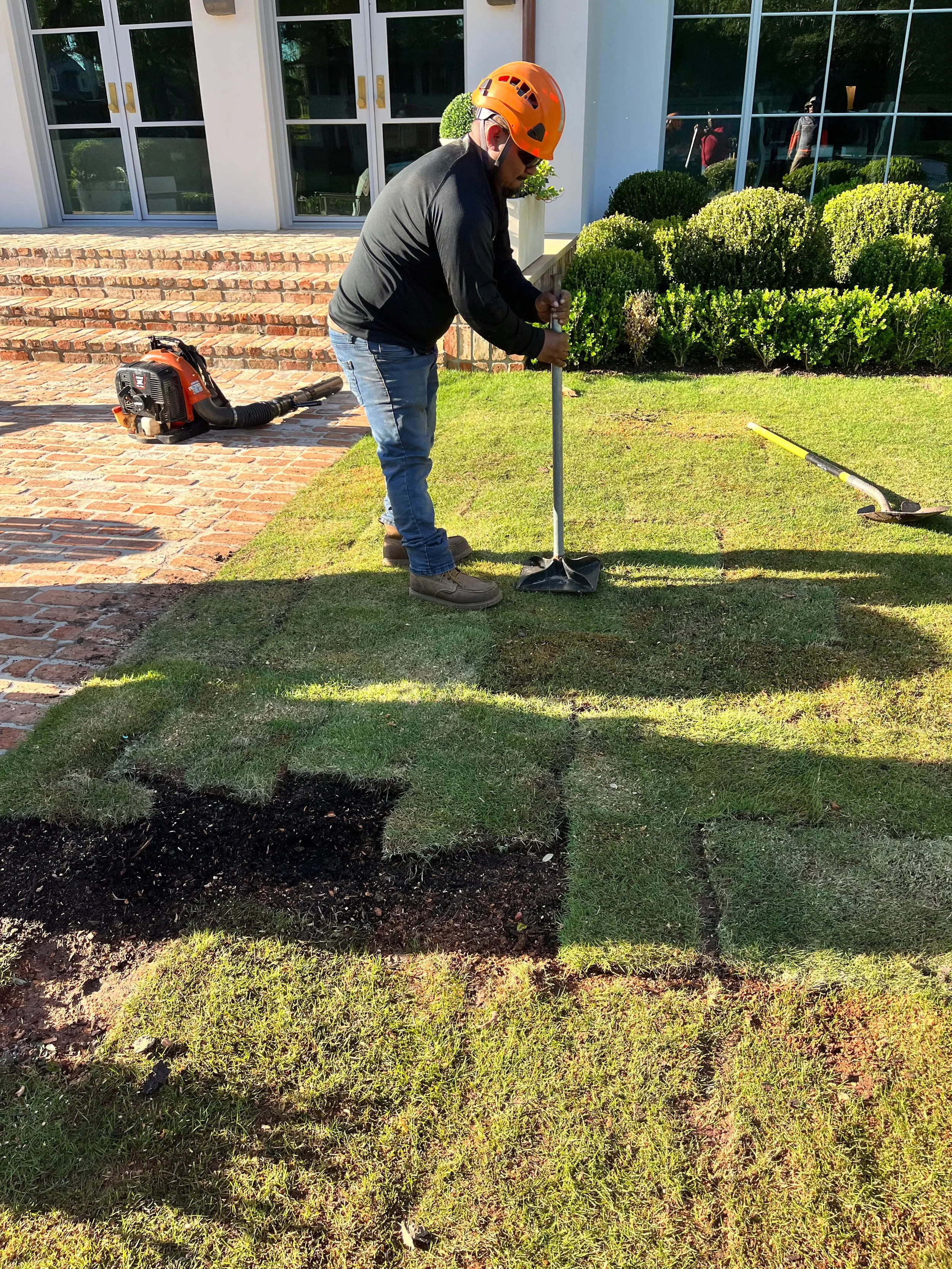 Romero Tree Service - Sod Installation-7757.jpg