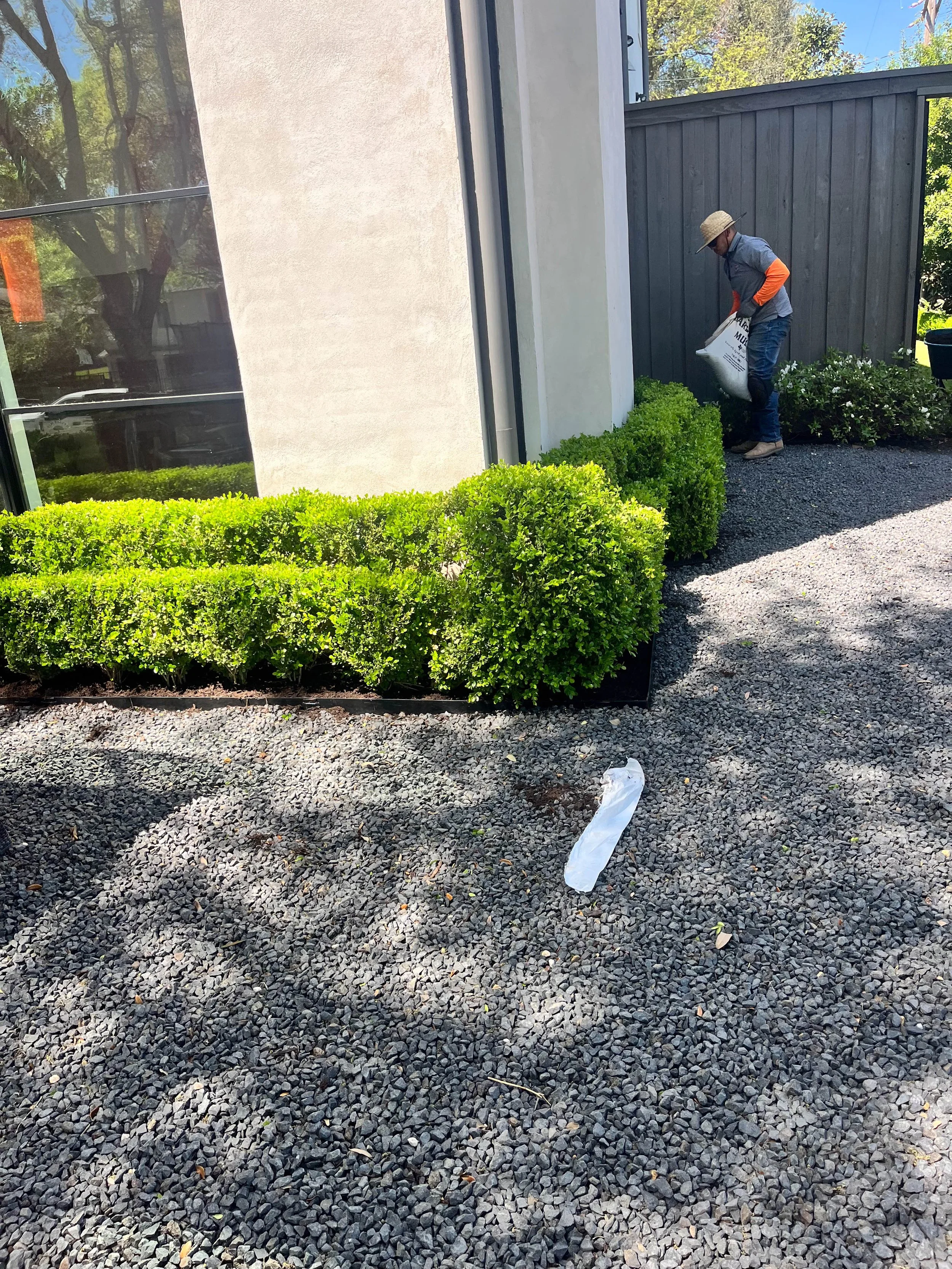 Romero Tree Service - Landscaping-7699.jpg
