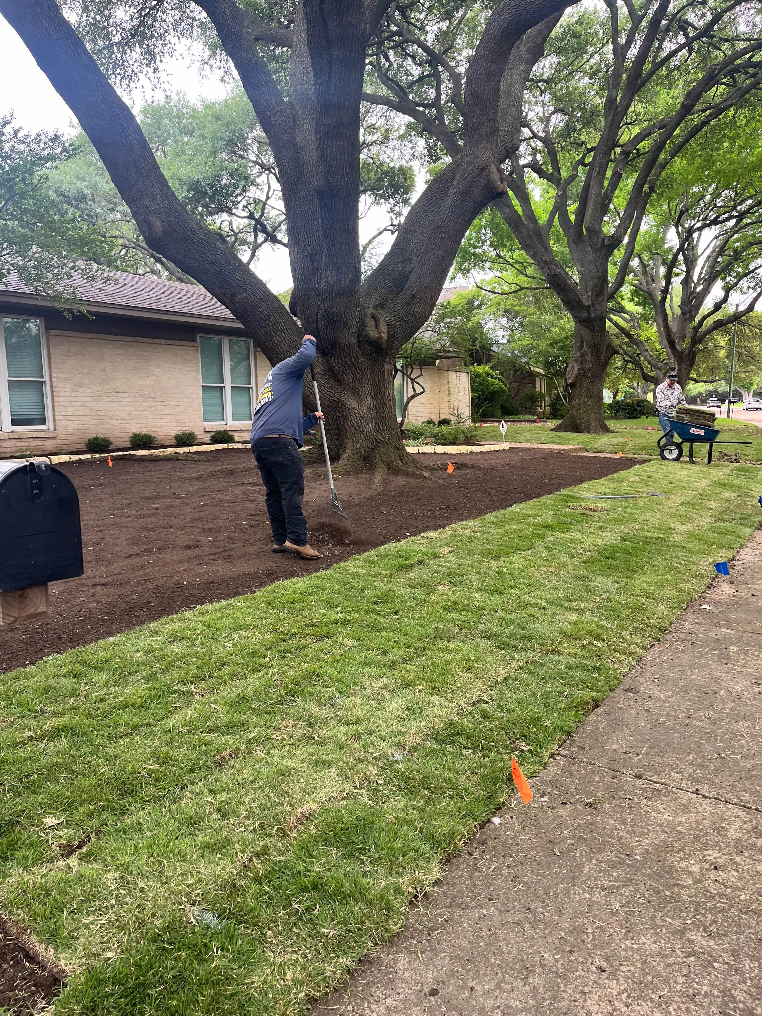 Romero Tree Service - Landscaping-7844.jpg