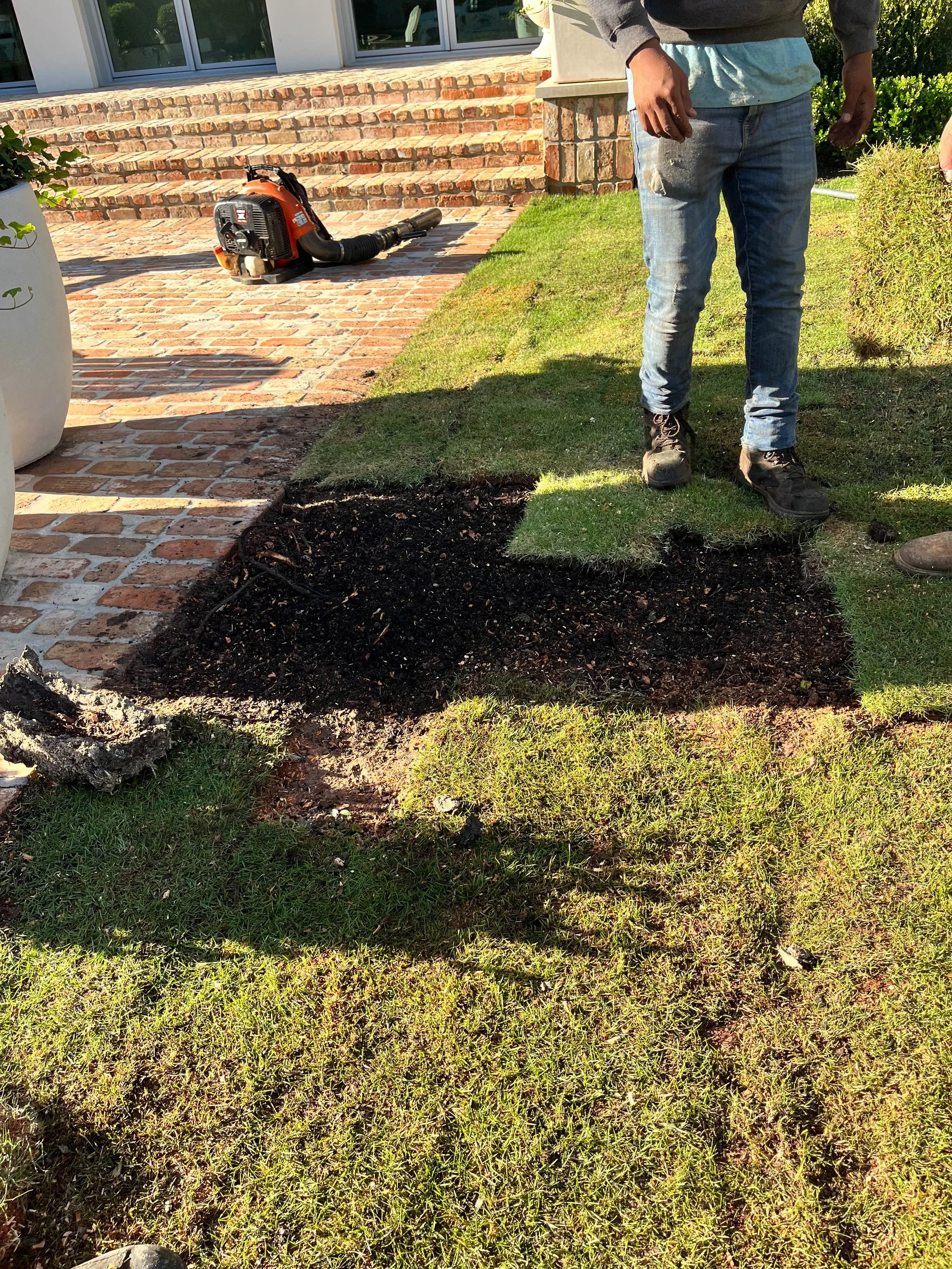 Romero Tree Service - Sod Installation-7756.jpg