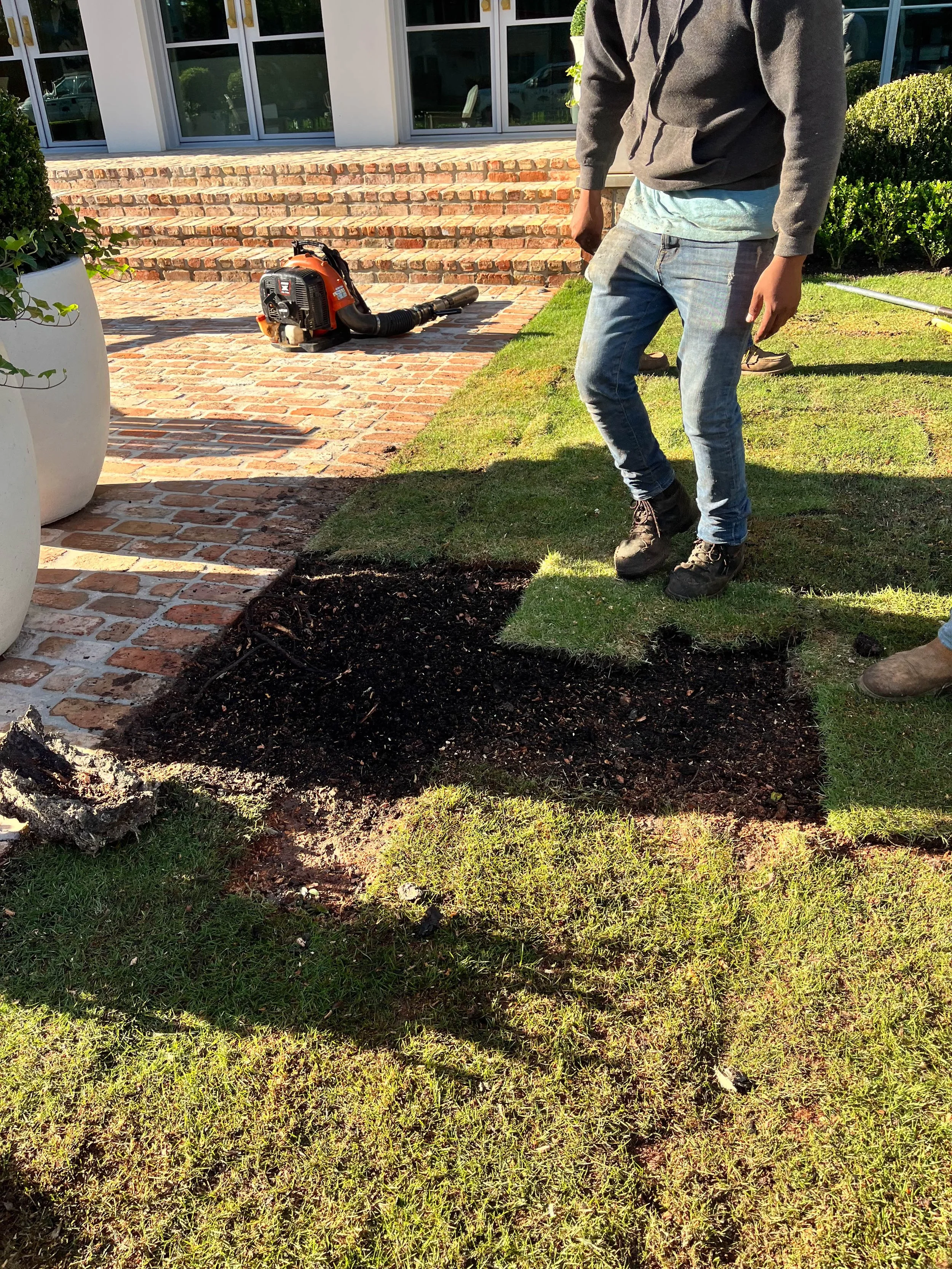 Sod Installation