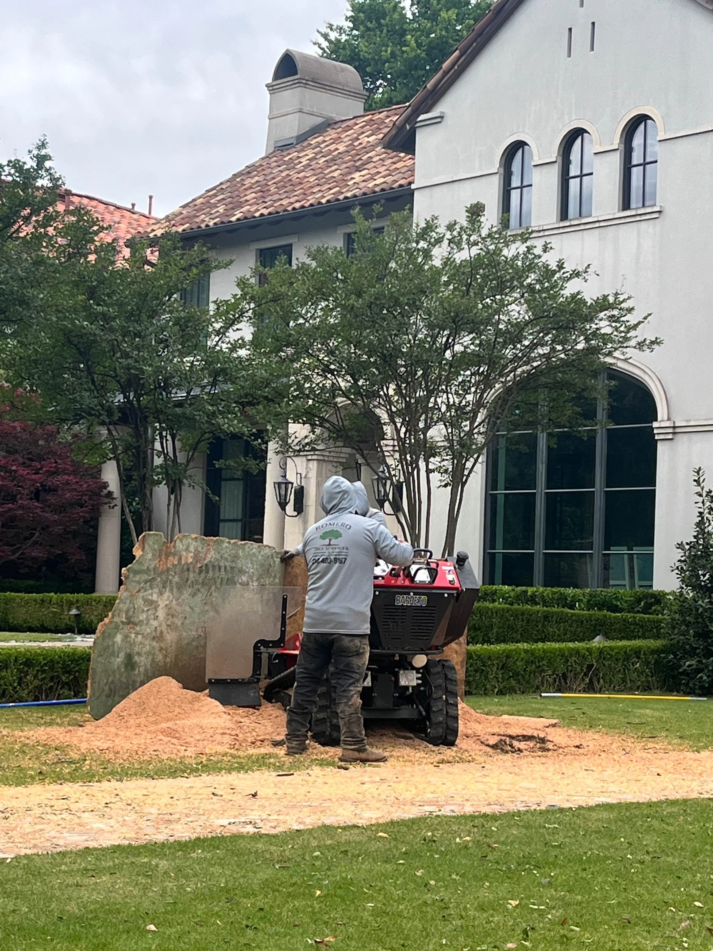 Romero Tree Service - Lawn Maintenance-7875.jpg