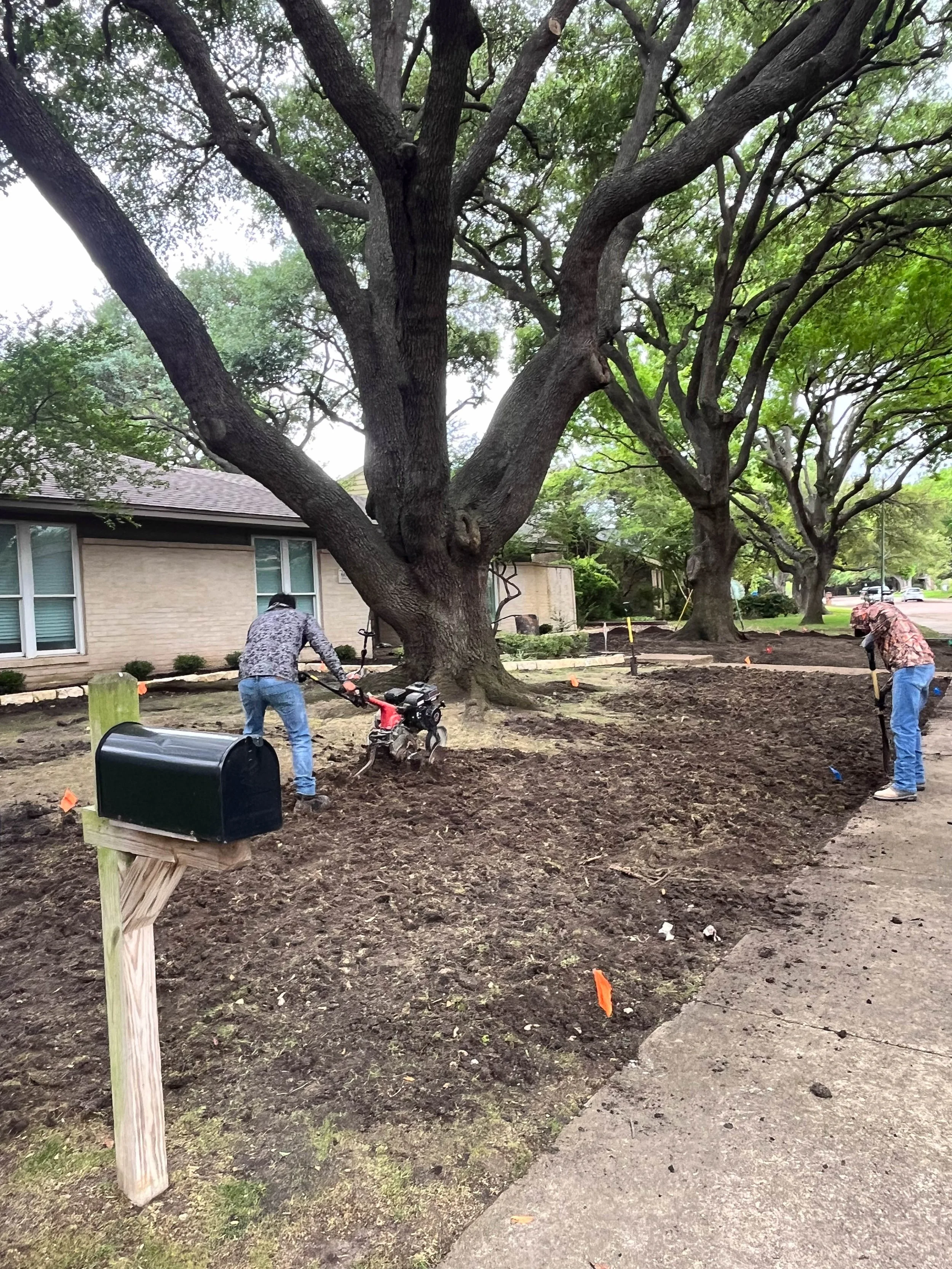 Romero Tree Service - Landscaping-7837.jpg