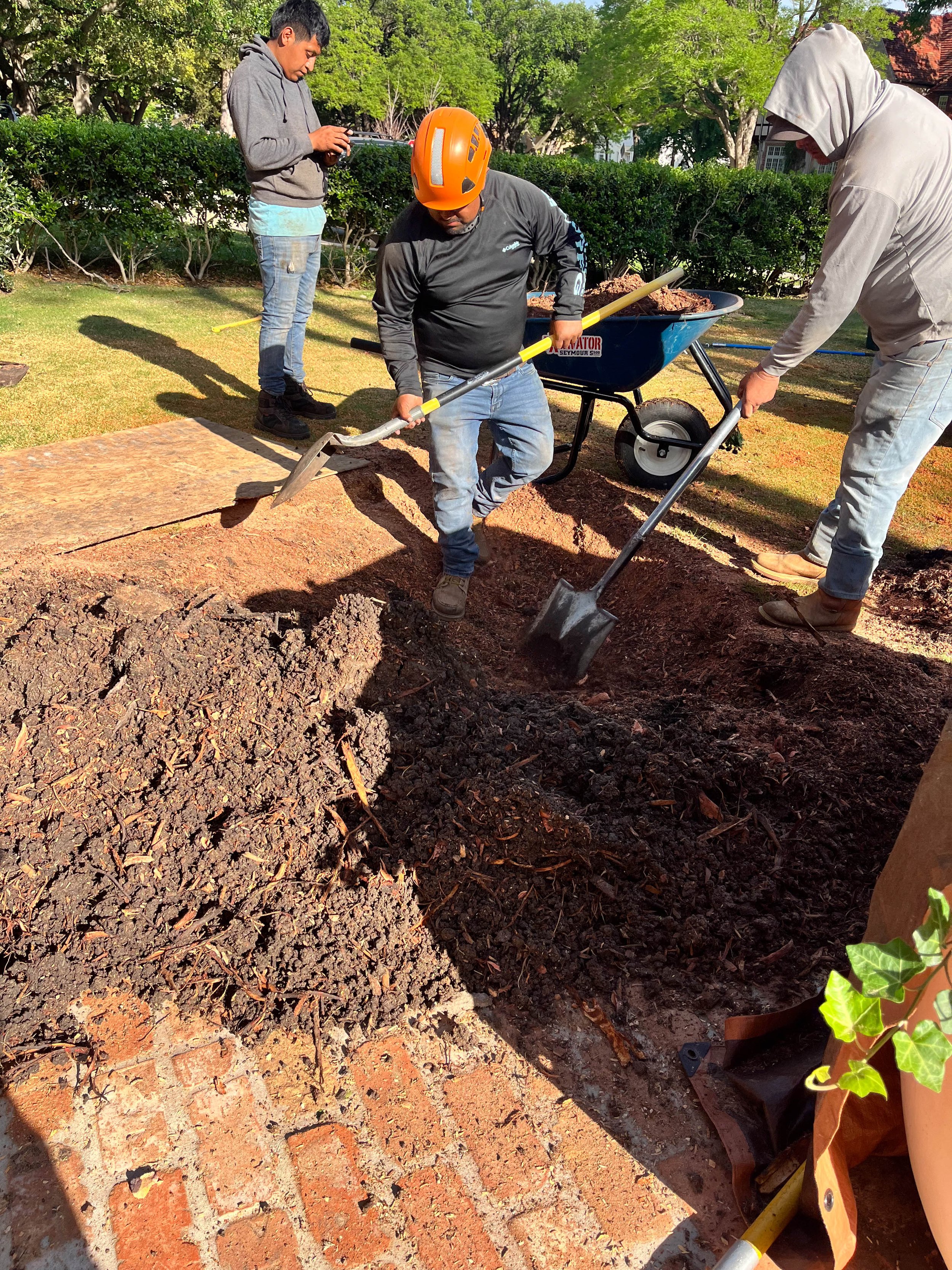 Romero Tree Service - Landscaping-7751.jpg