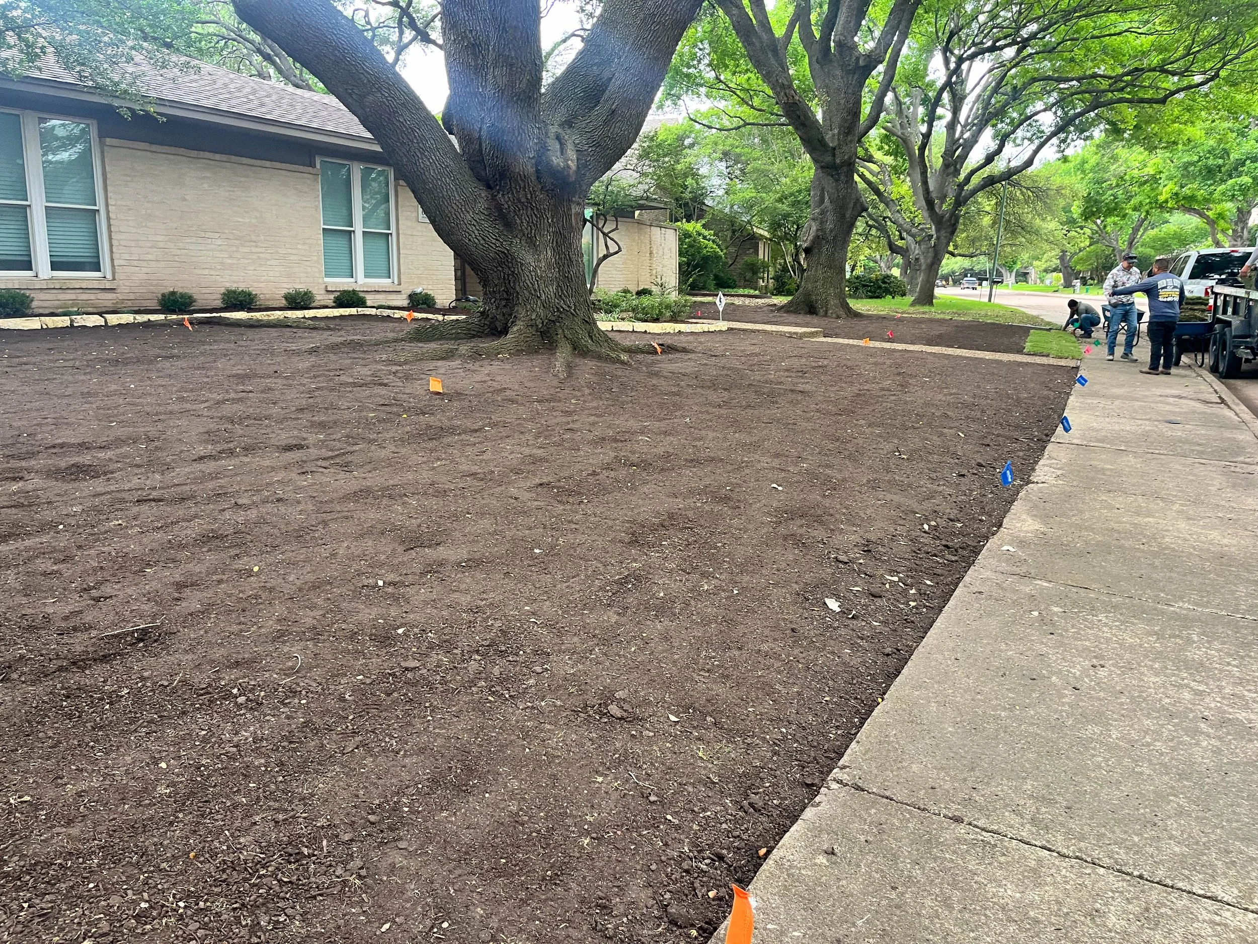 Romero Tree Service - Landscaping-7843.jpg