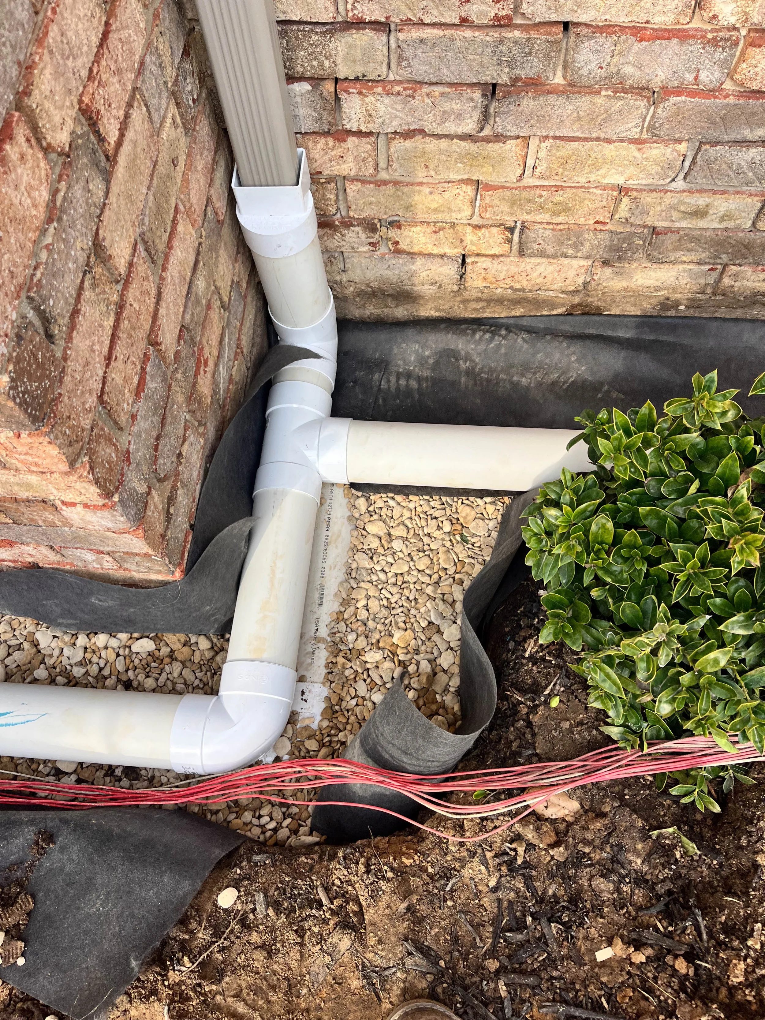 Romero Tree Service - Drainage Solutions-7437.jpg