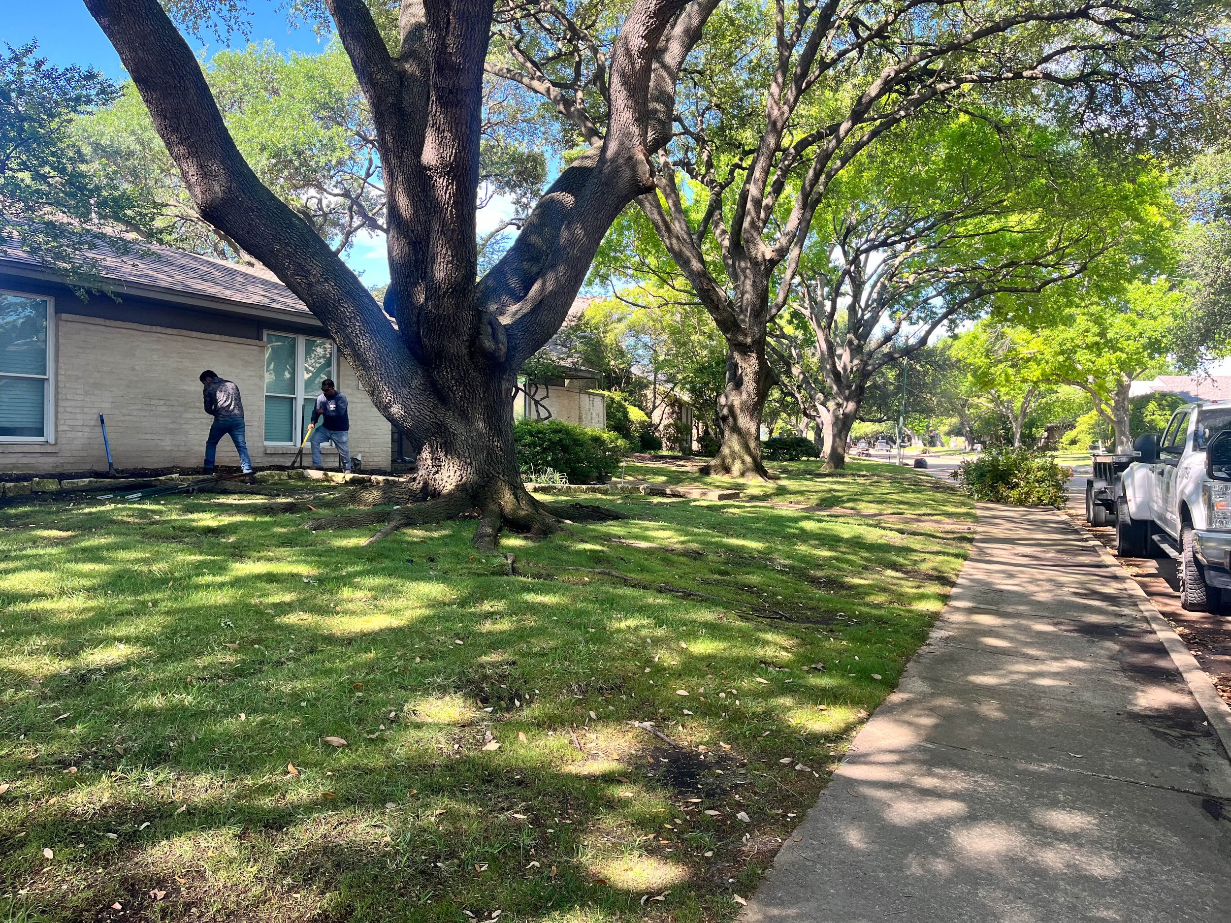 Romero Tree Service - Landscaping-7786.jpg