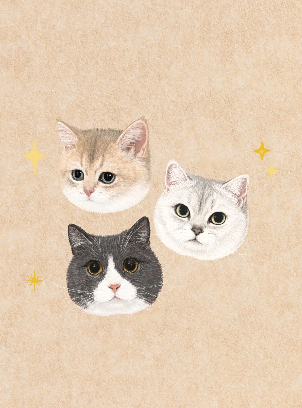 Illustration of three cute cat faces on a beige background with small yellow star shapes around them.