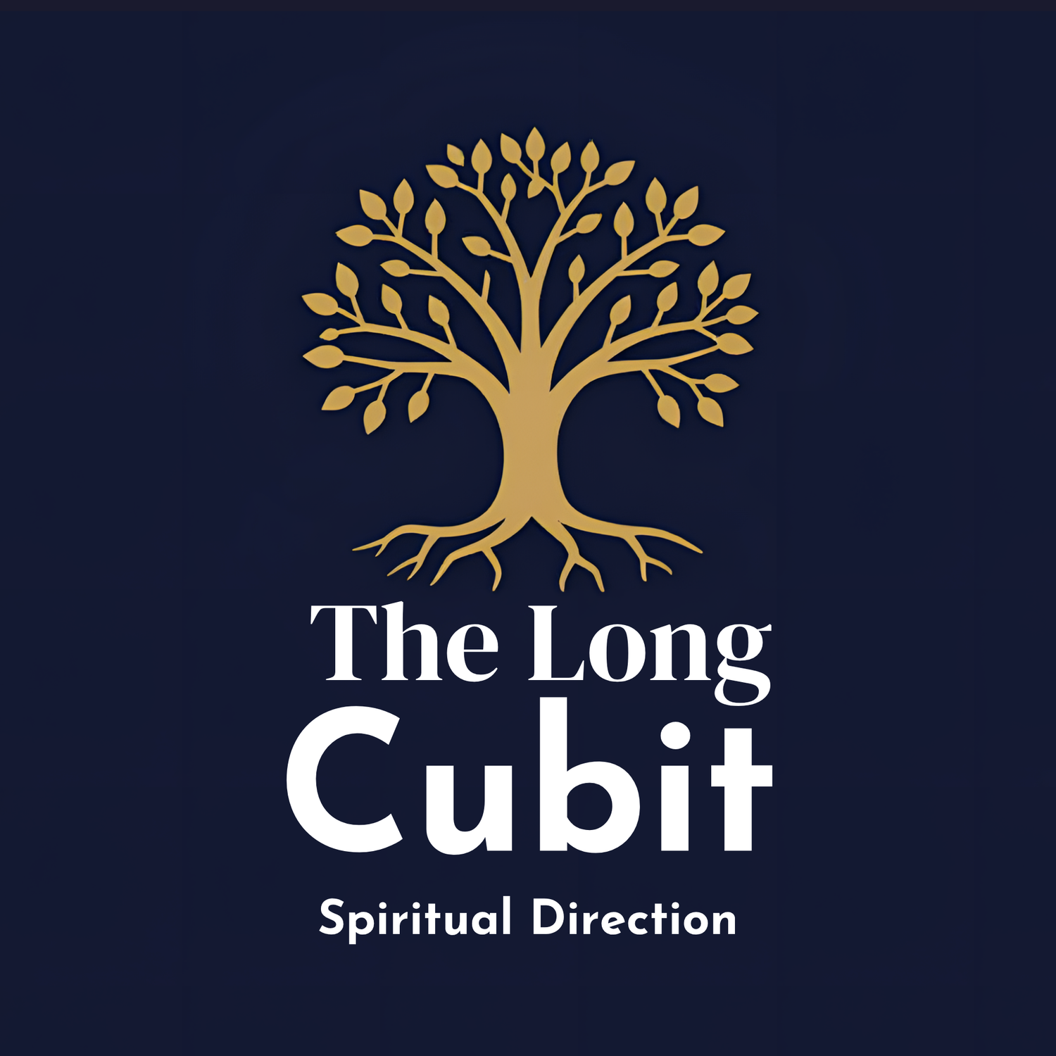 The Long Cubit