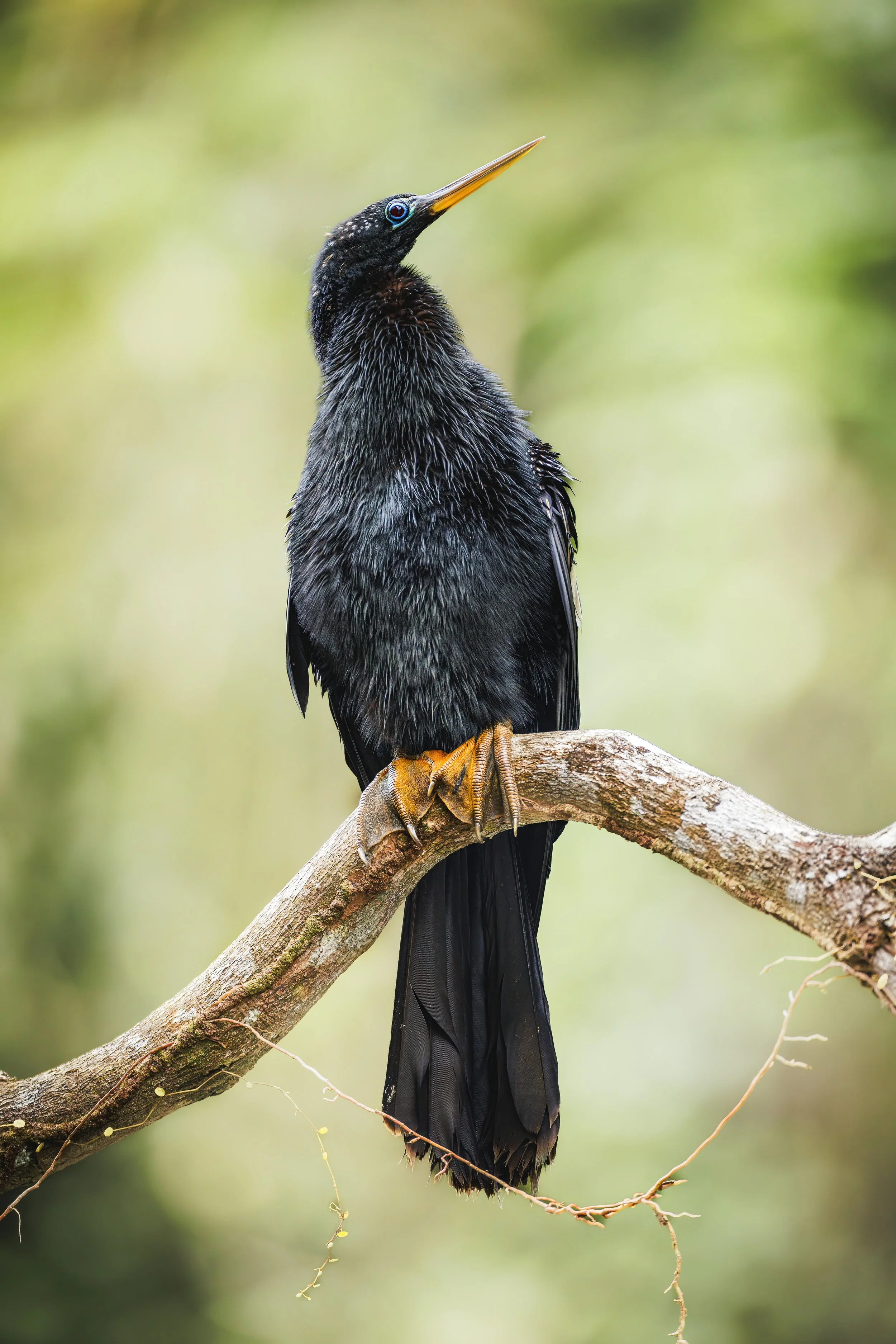 _R4A0431-SharpenAI-Focus.jpg