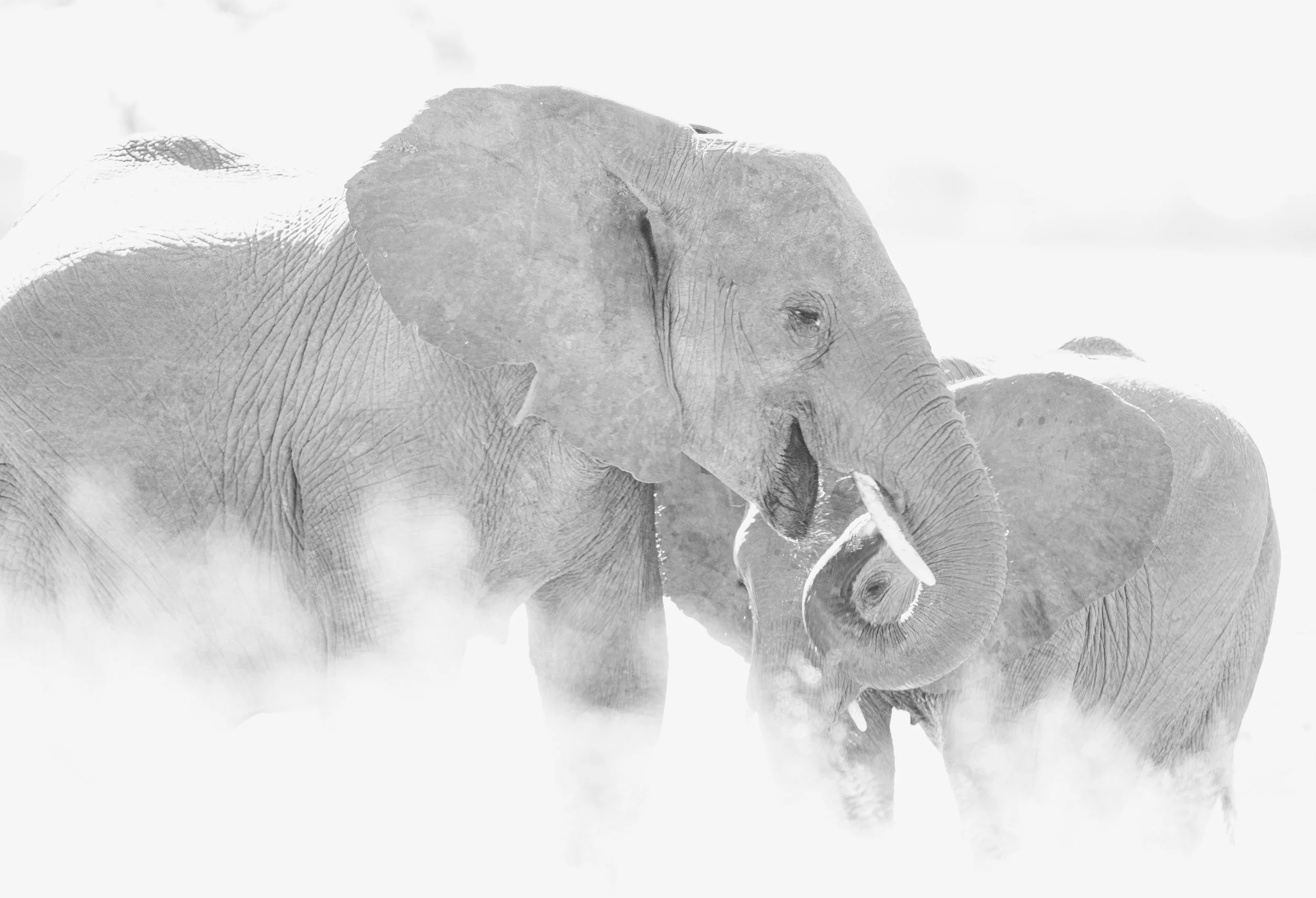 _5_12776.jpg