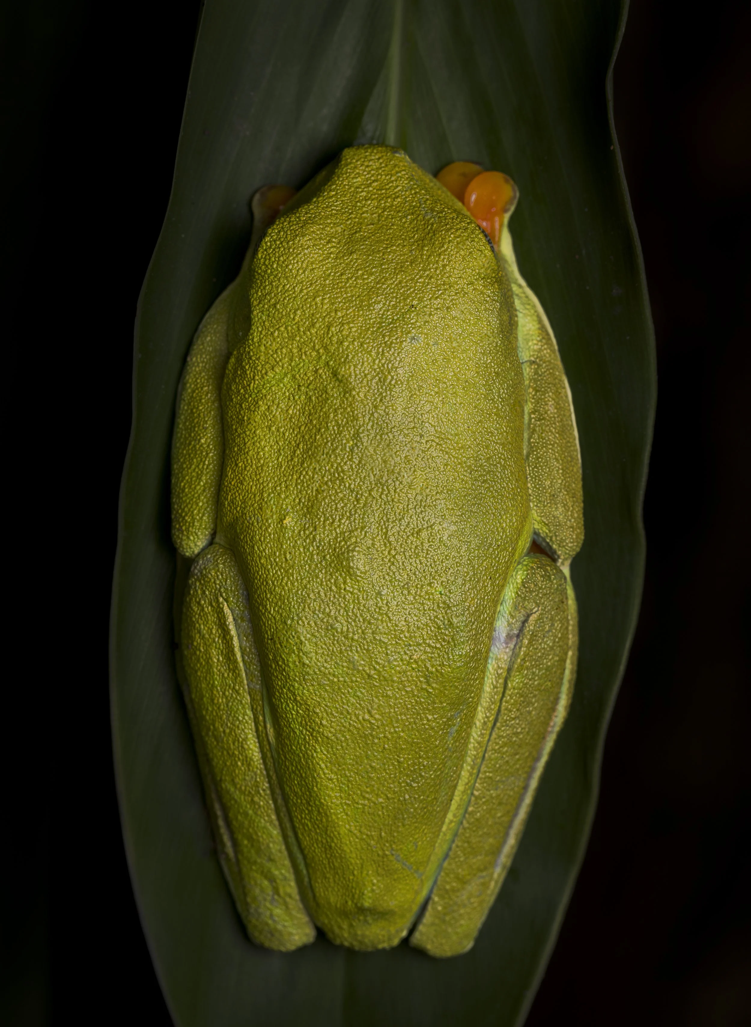 _R4A0485-Edit.jpg