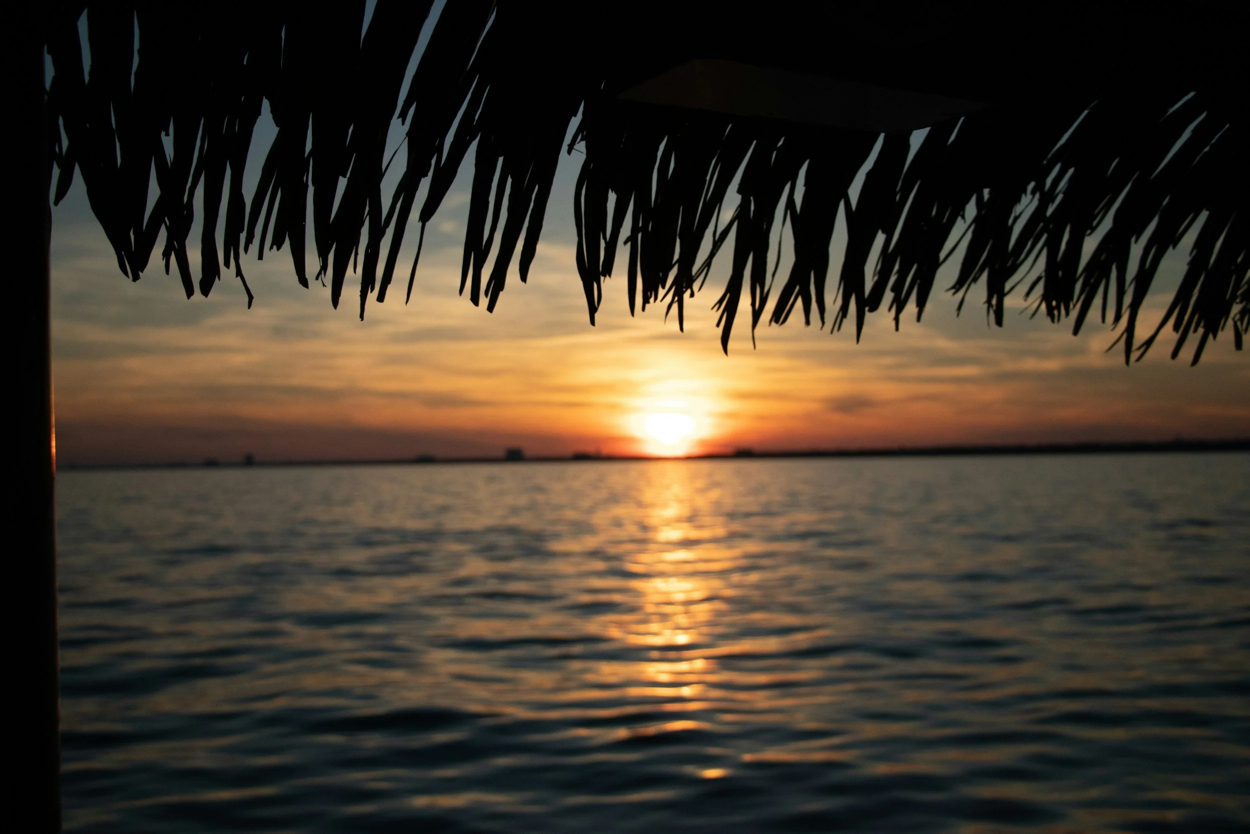 Sunset over a body of water, seen from under a thatched roof structure, with silhouetted palm fronds in the foreground.