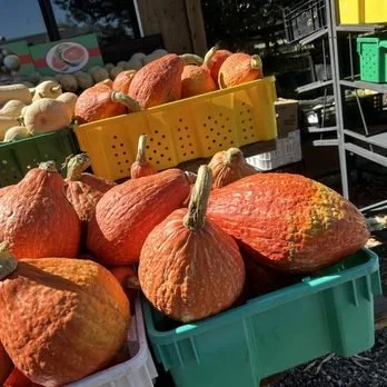 Mike's Orchard Halloween Event!