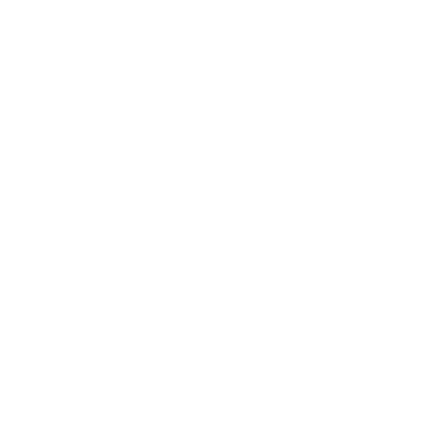 Icon of a shopping basket with a handle, in black and white