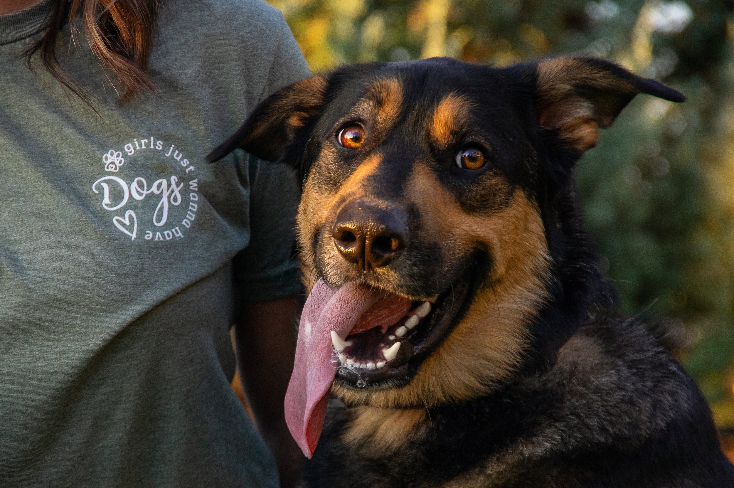 Person wearing a gray t-shirt with a circular logo that reads 'girls just wanna have dogs' while standing next to a large black and tan dog with its tongue out outdoors.