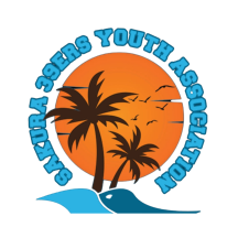 Logo of the California Teens Youth Association featuring a sunset with a palm tree and birds.