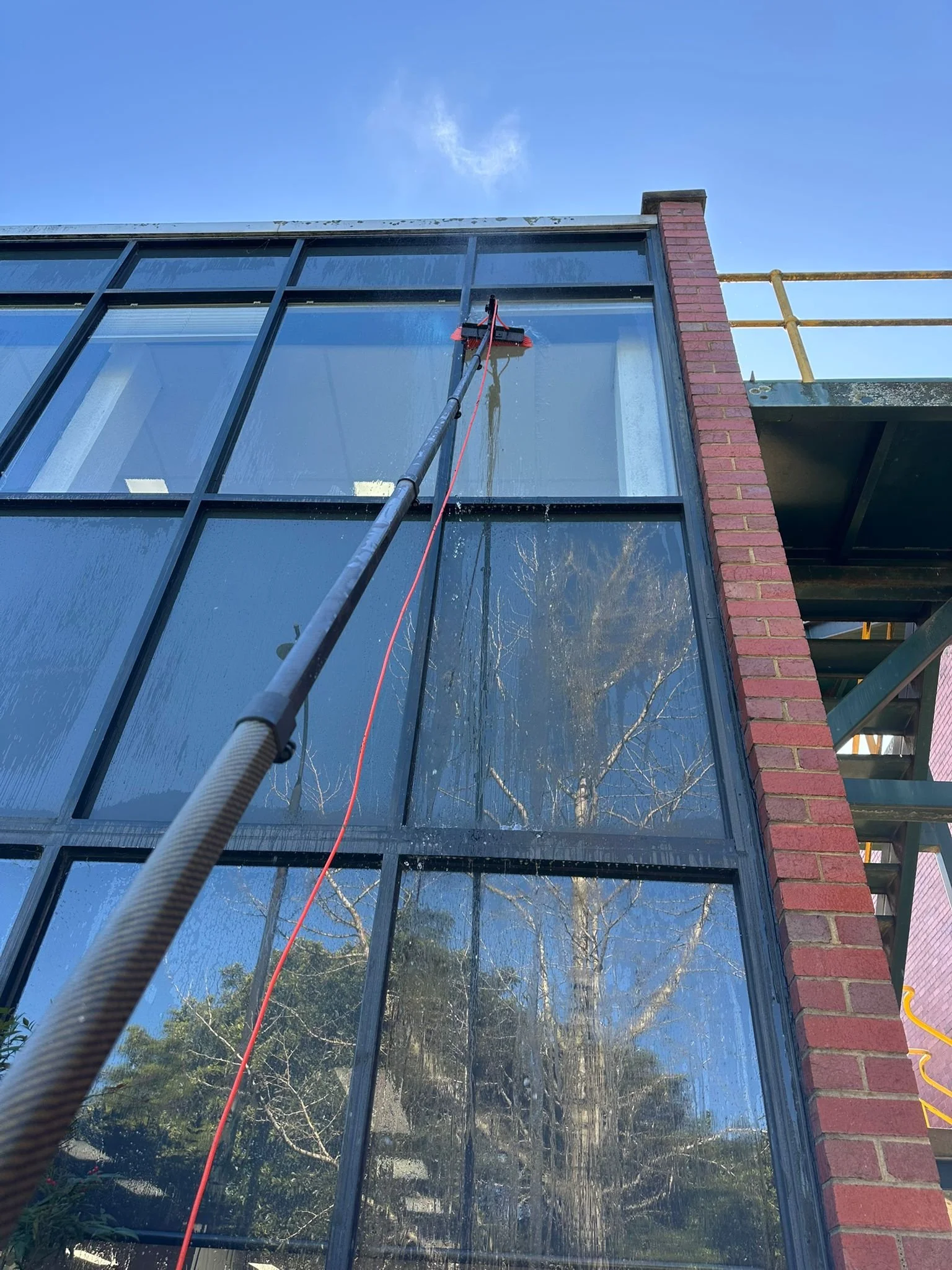 Premium Window Cleaning Service