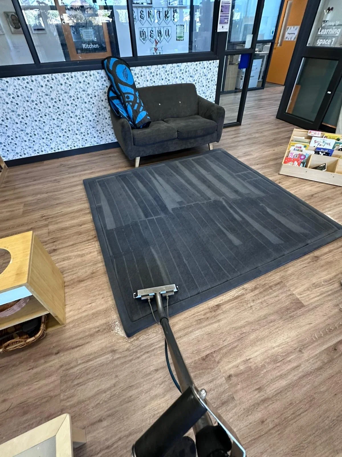 Premium Carpet and Rug Steam Cleaning & Disinfection Service