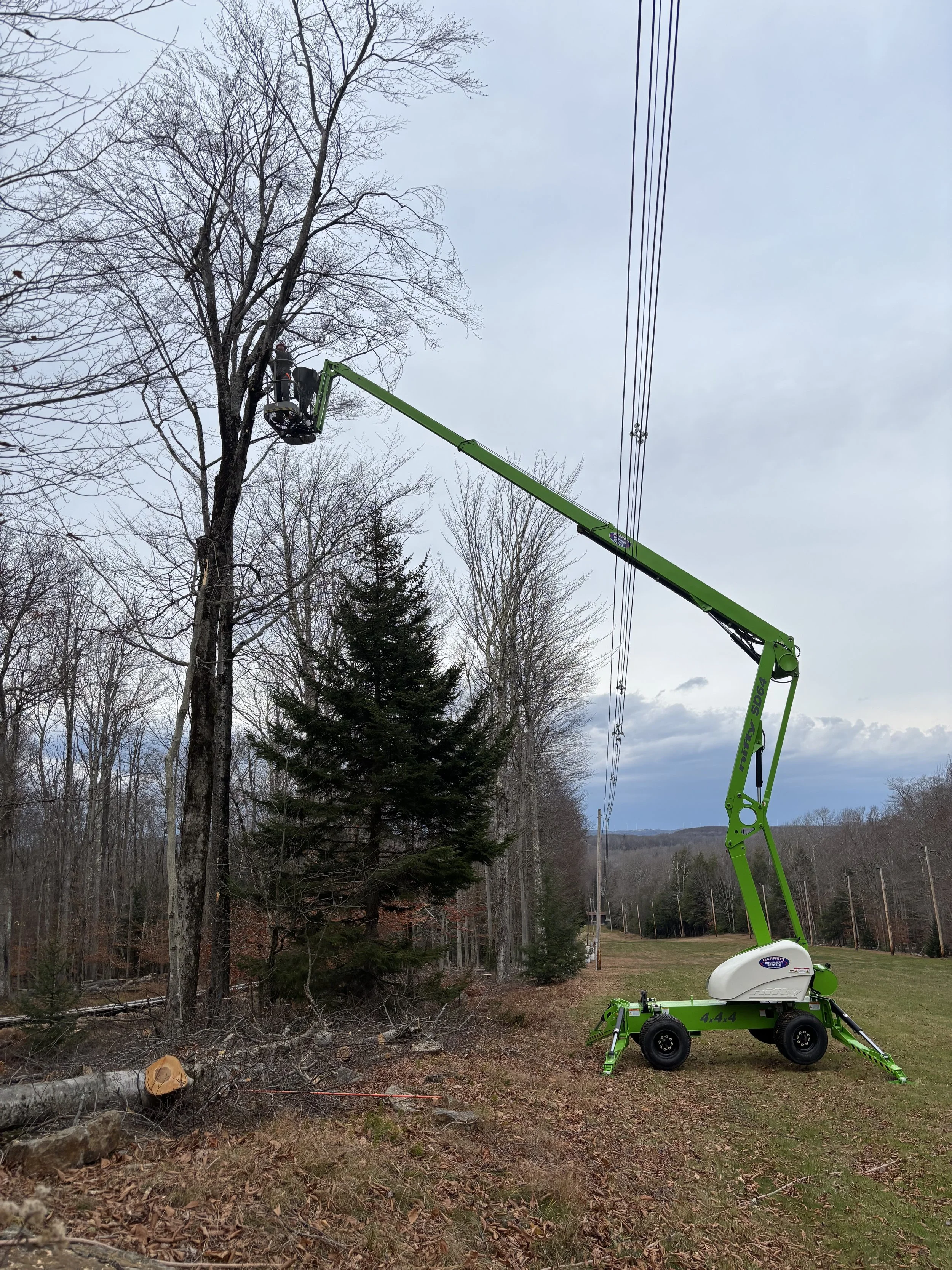 Working over the (de-energized) power lines at the Sled Run in BWFSP