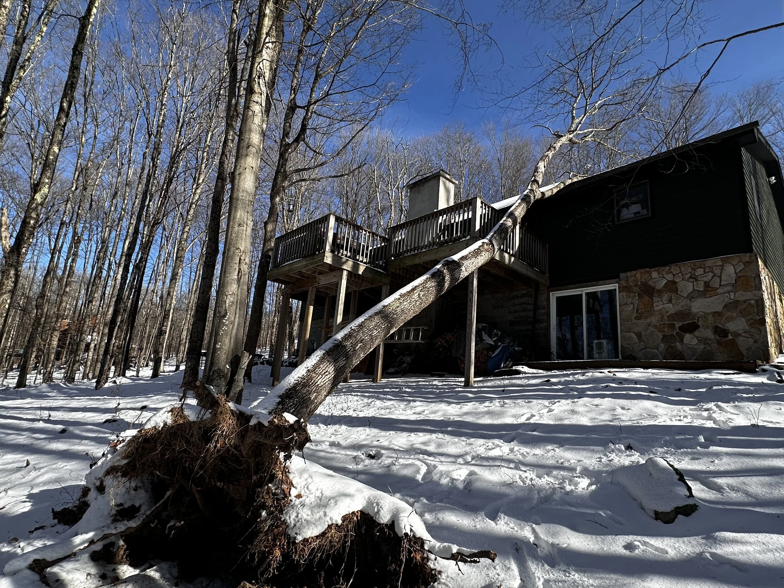 Tree on a house? Count on us!