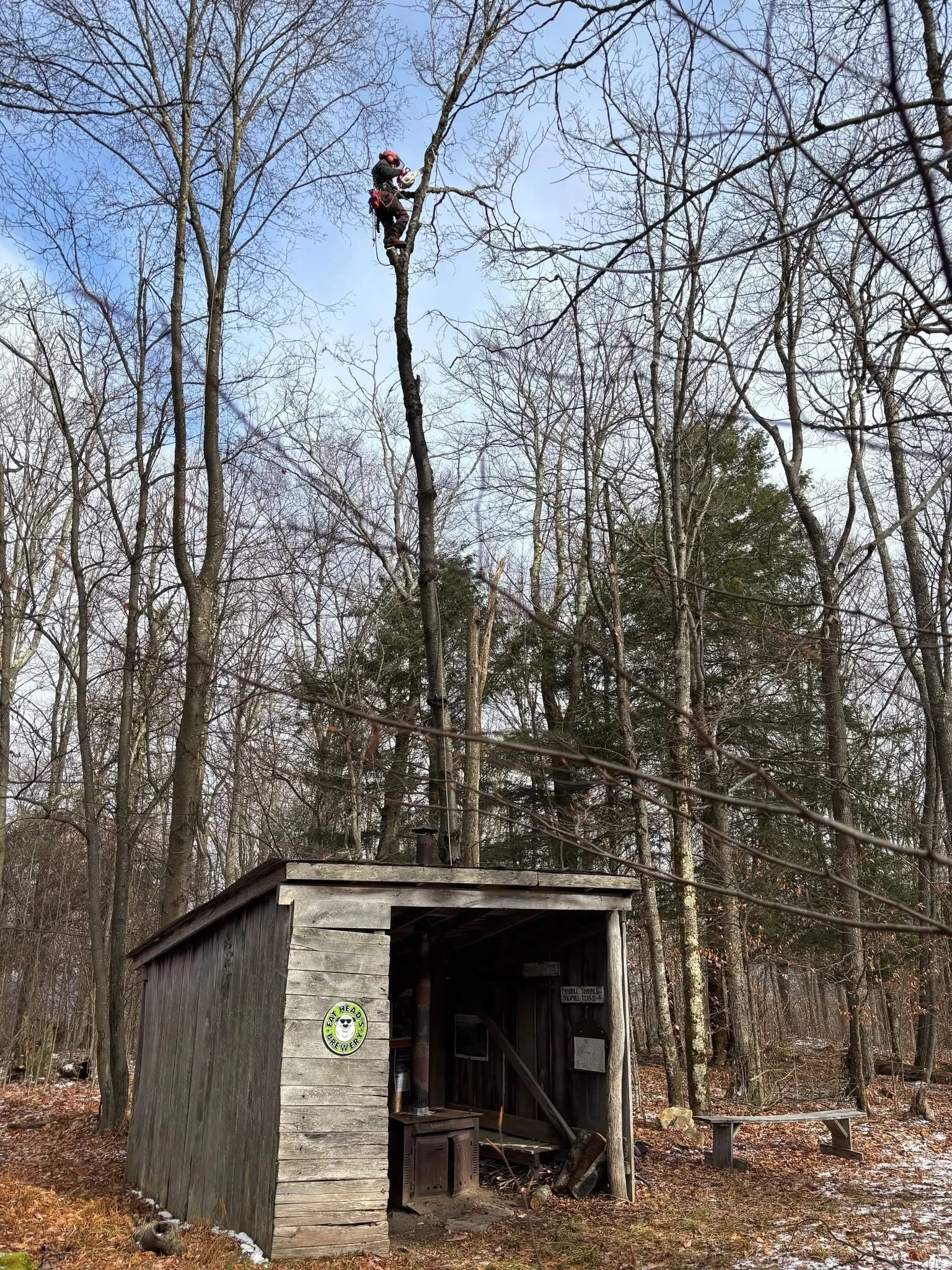 Tree over a structure? No problem for us!