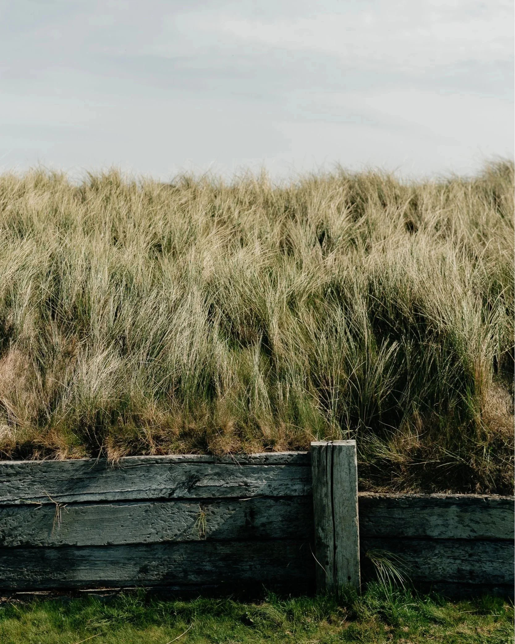 Copy+of+BnR_Ballyliffin-129.jpg