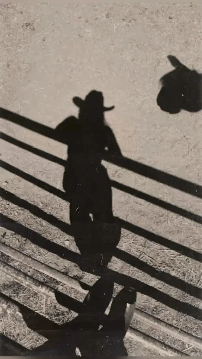Shadow of a person with cowboy hat, ropes, and a horse's shadow on the ground, in a rural setting.