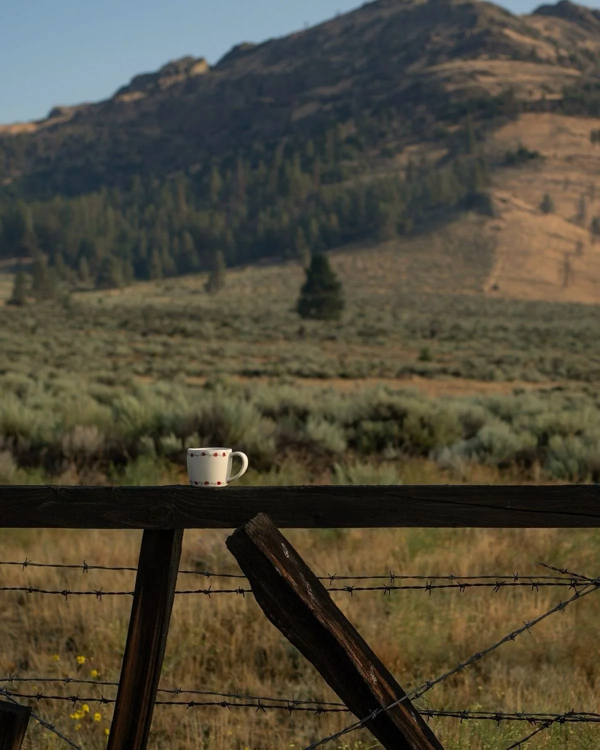 A white mug with red hearts sitting on a wooden fence against a rural landscape with hills and sparse vegetation.