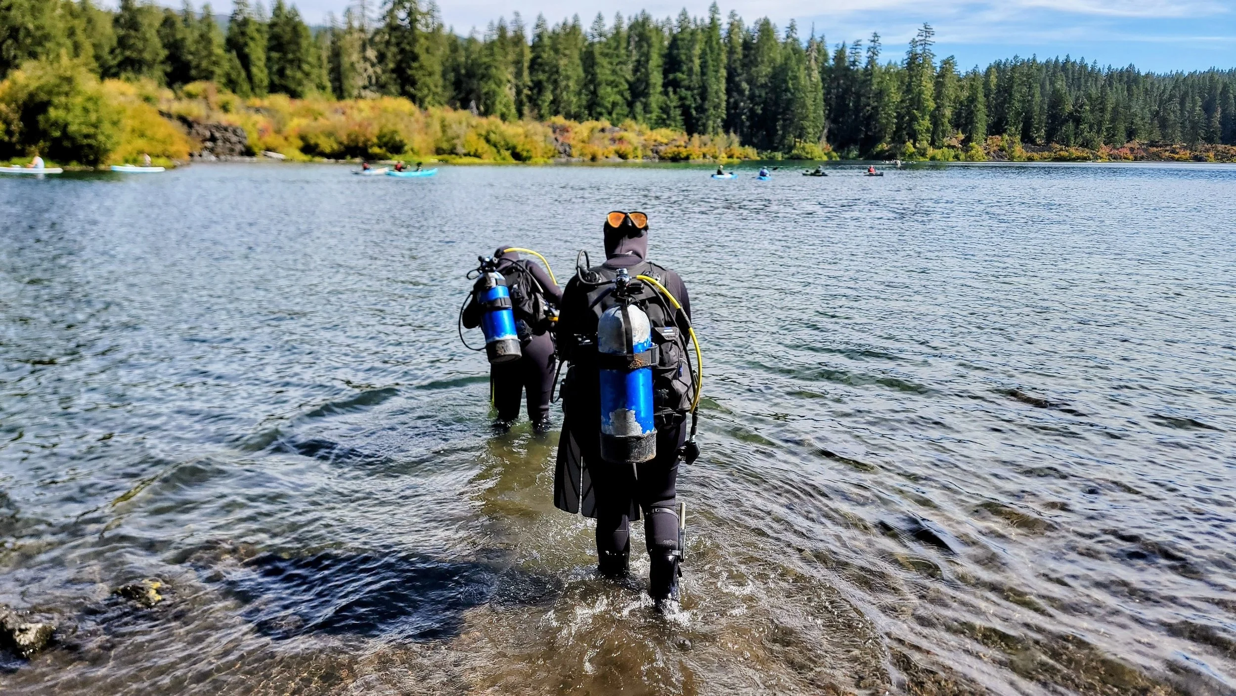 Community Dive