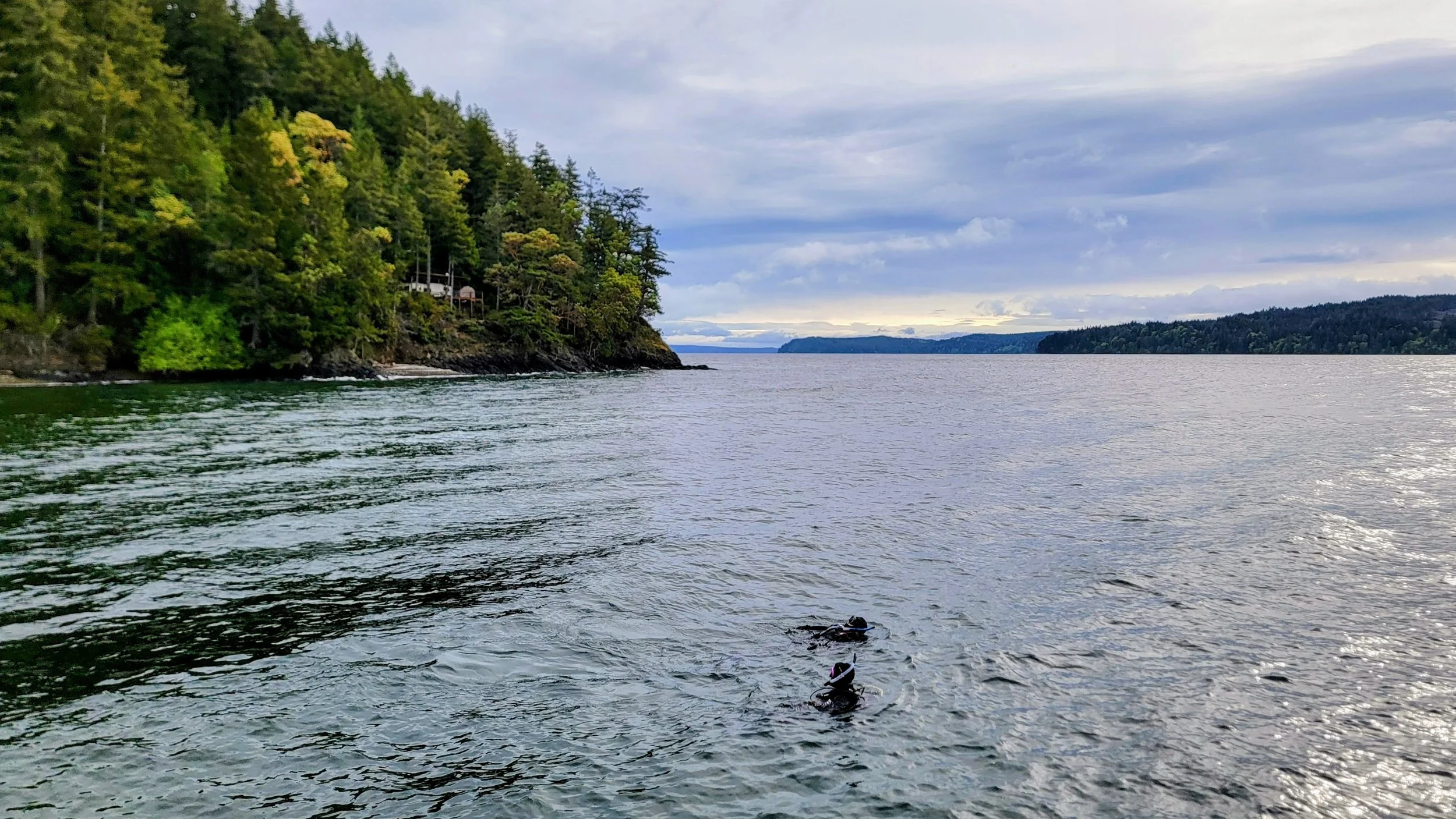 View of a peaceful body of water with a forested shoreline on the left and distant hills under a cloudy sky.