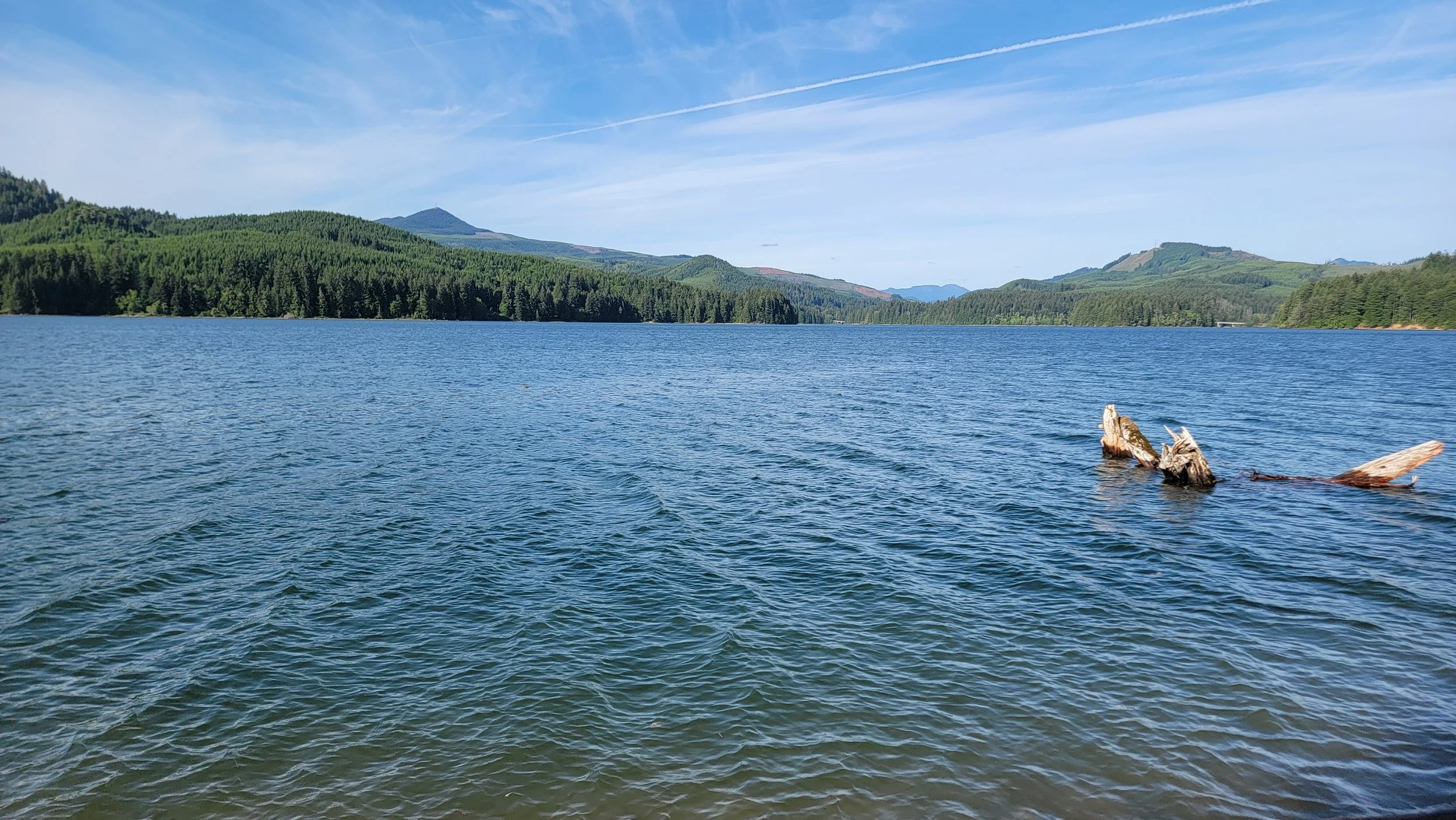 foster-lake-20260520_174654.jpg