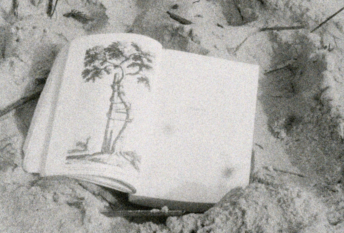 Artist Screening: Zine-Lab. Shared Light.