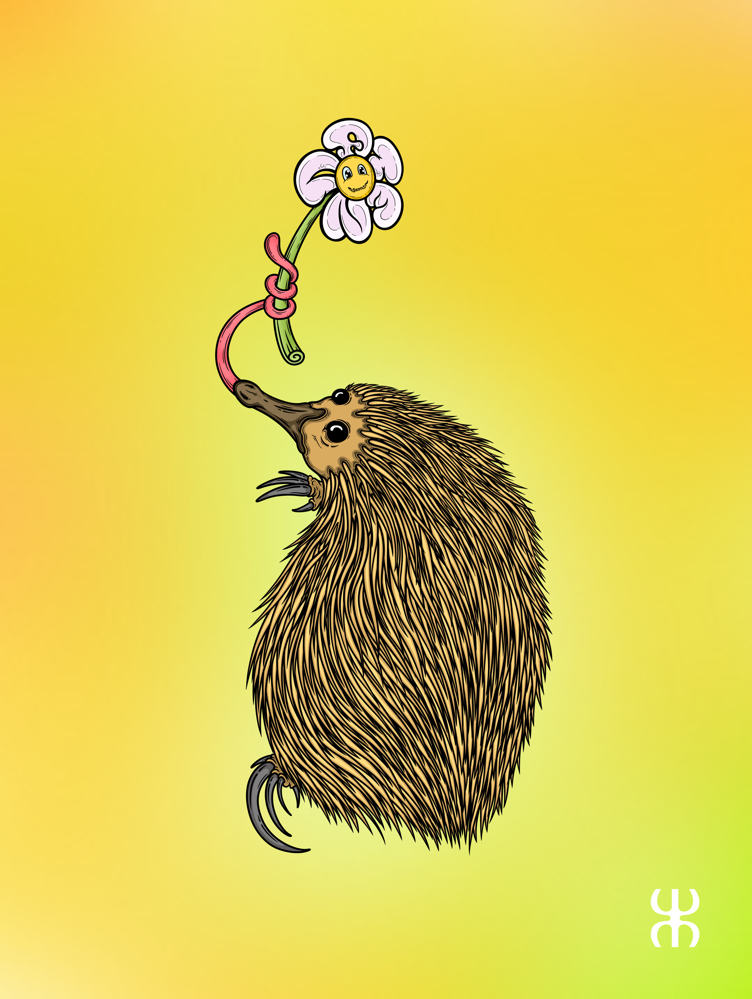 IMG_3635.png