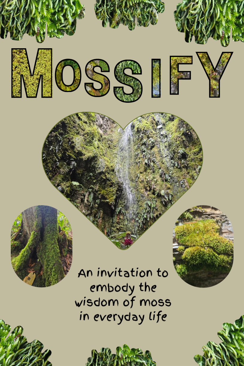 A Photo of a Zine about embodying the wisdom of Moss in everyday life titled "Mossify"