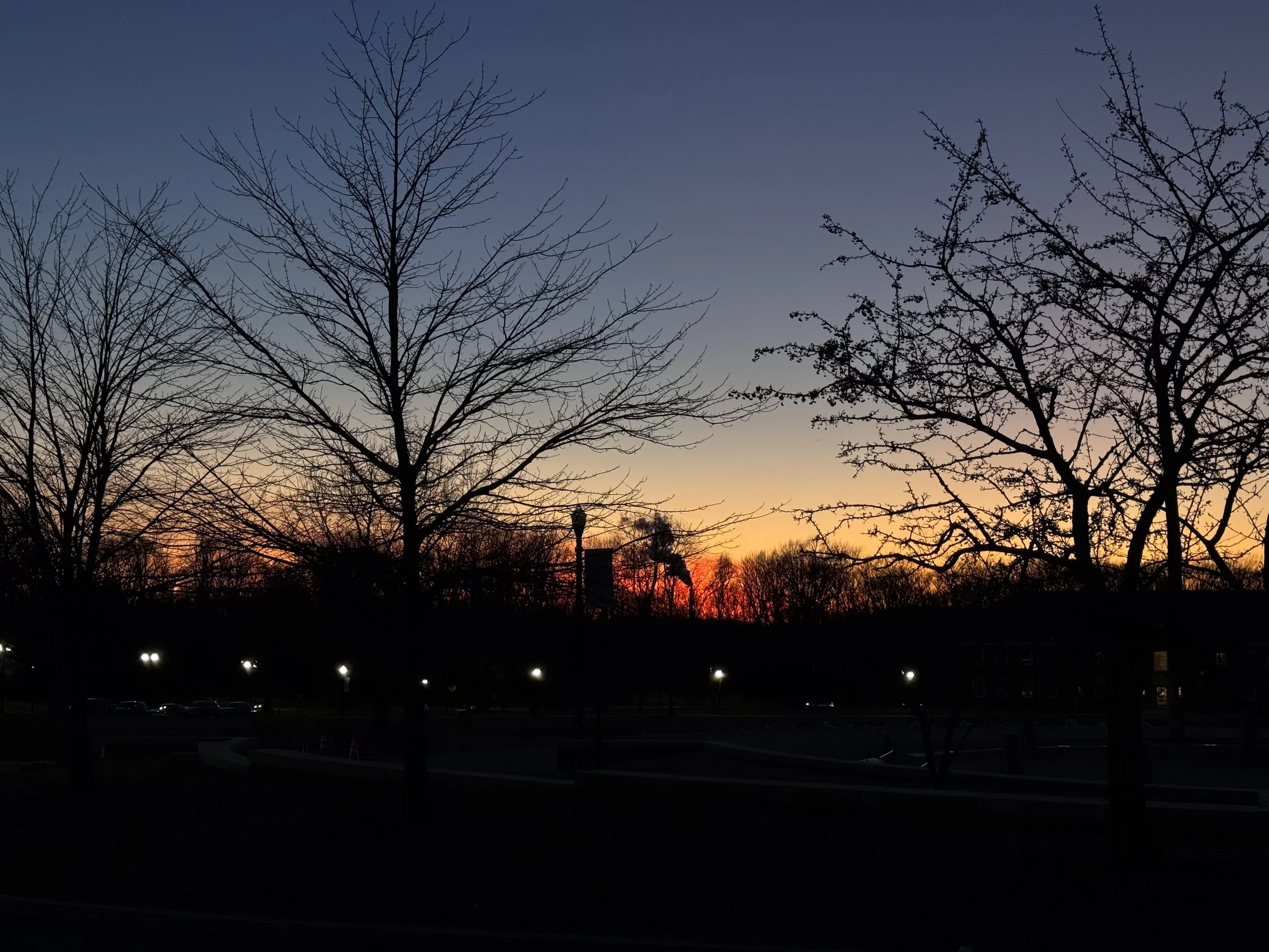 IMG_0518.jpeg