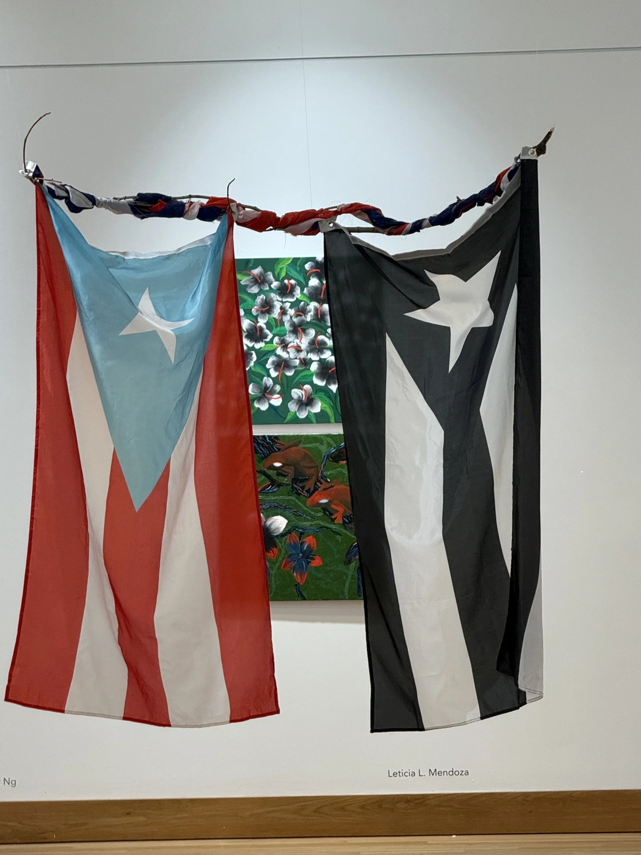 Two flags hanging side by side on a wall with a painting of flowers in the background. The flag on the left has blue, white, and red vertical stripes with a white star on the blue stripe. The flag on the right is black and white with a star on the bl