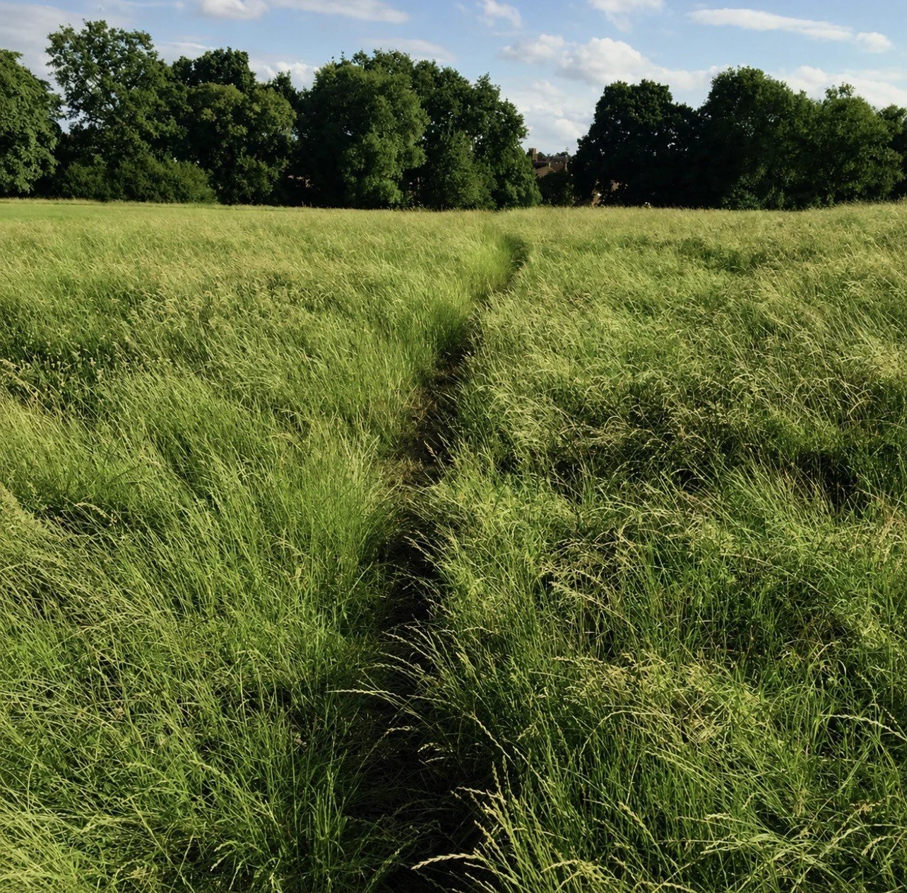 Reputation Is Usually Built in the Quiet Moments